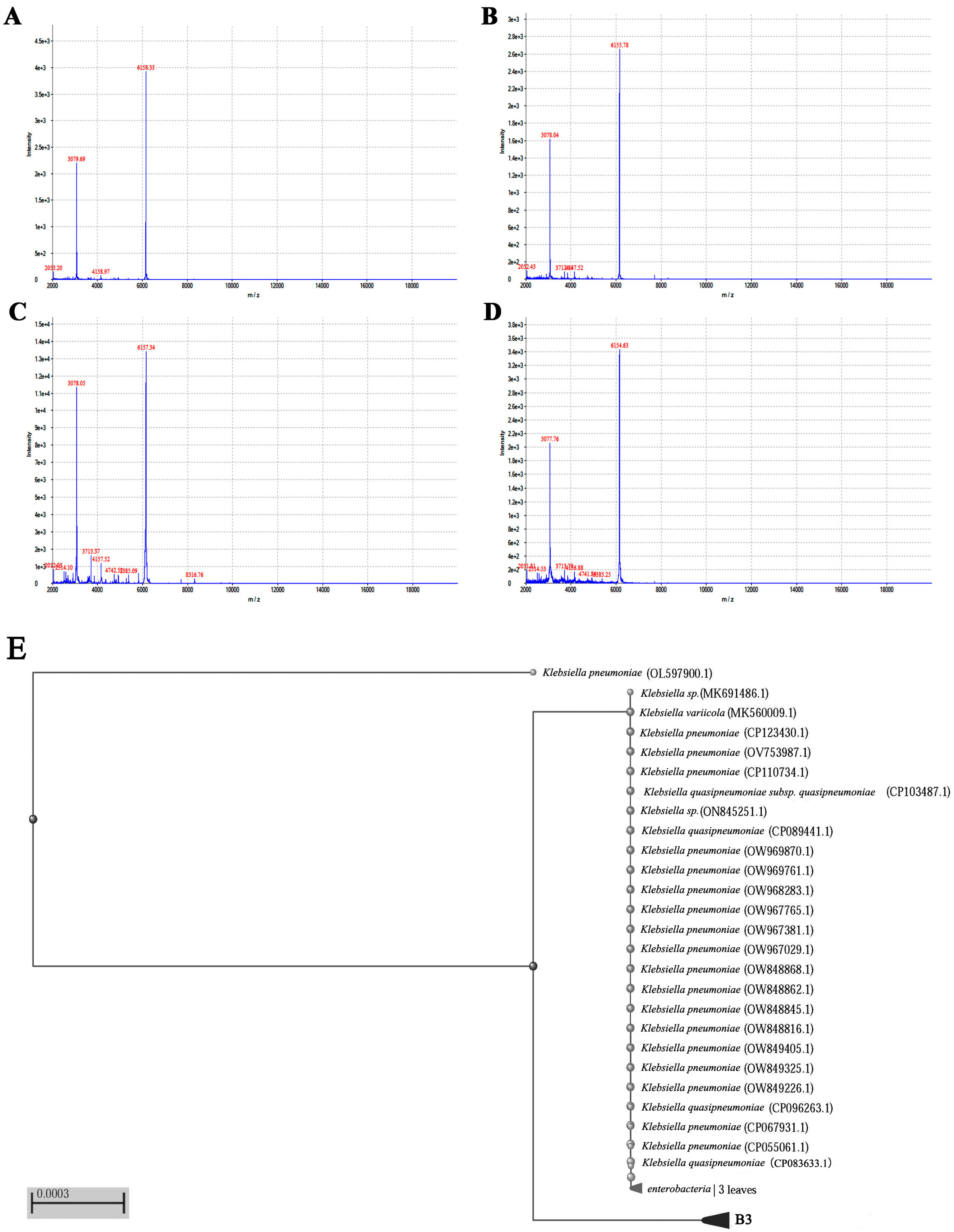 Separations 11 00121 g001