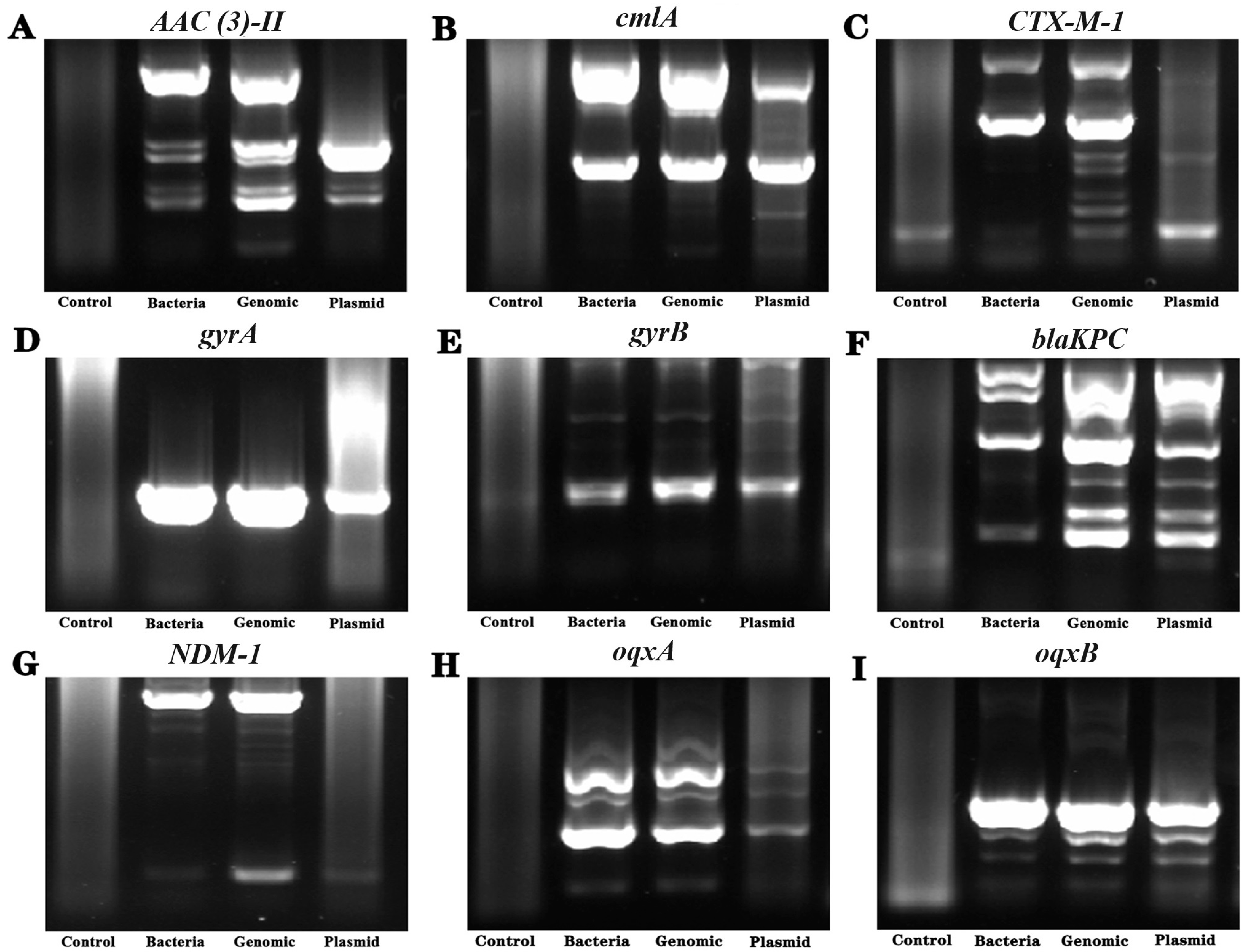Separations 11 00121 g003
