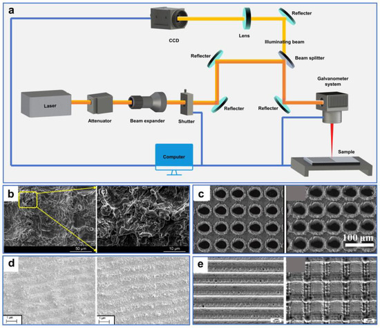 Separations 11 00126 g004