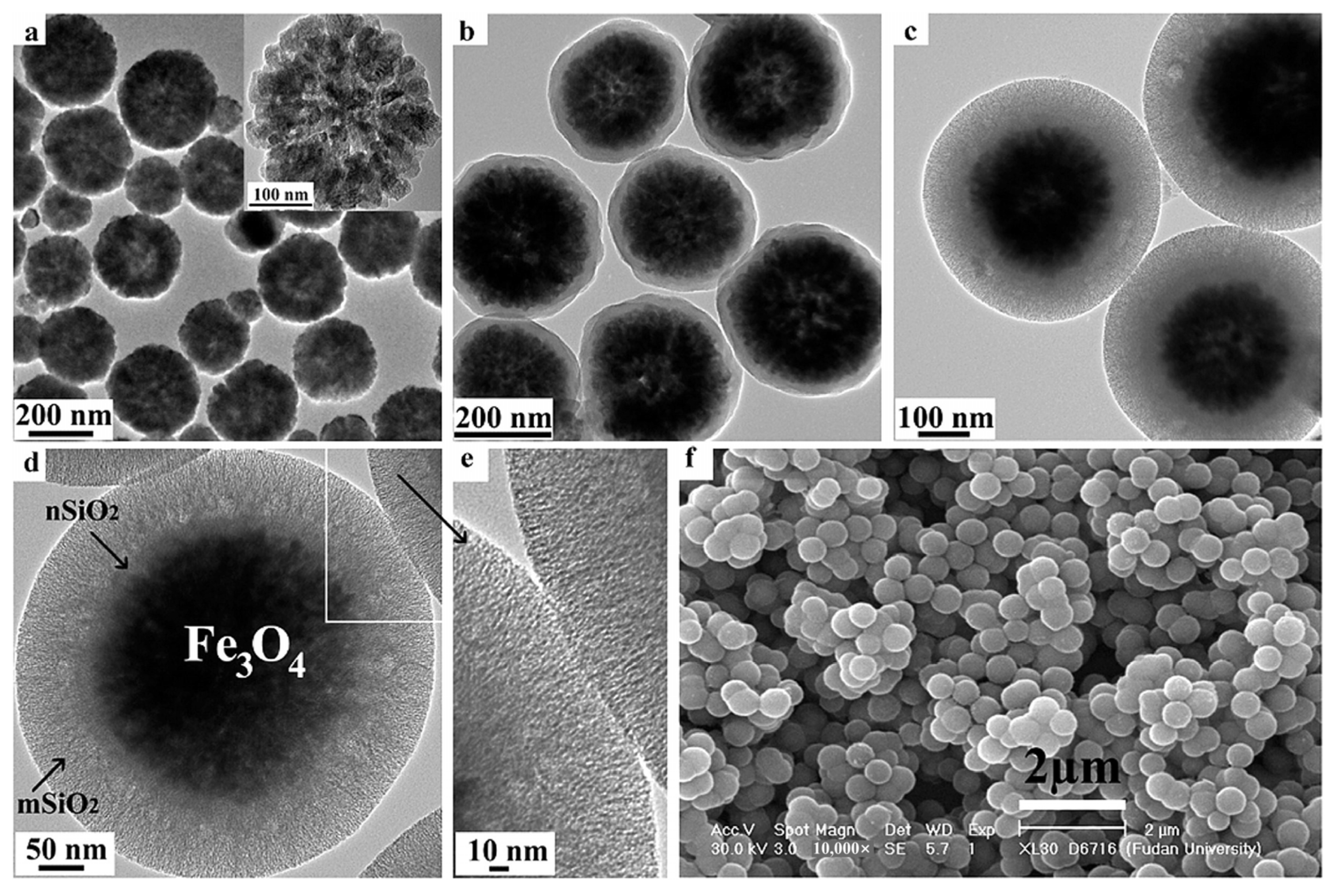 Separations 11 00130 g012