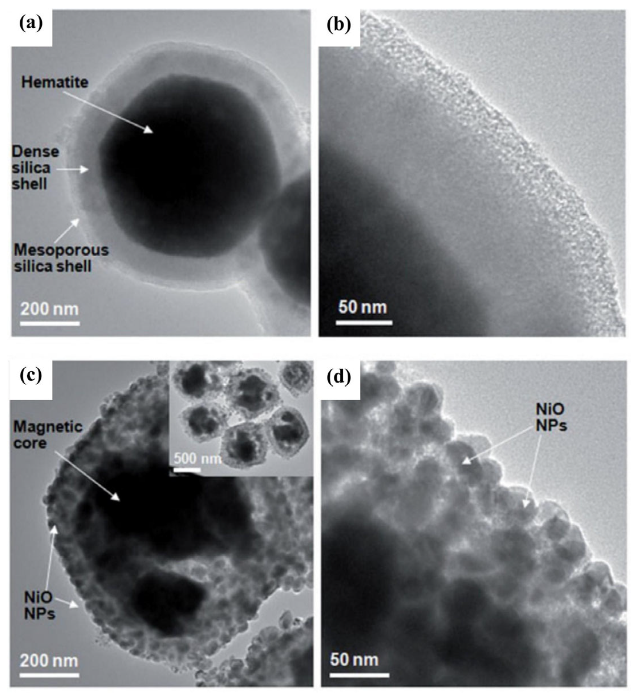 Separations 11 00130 g013