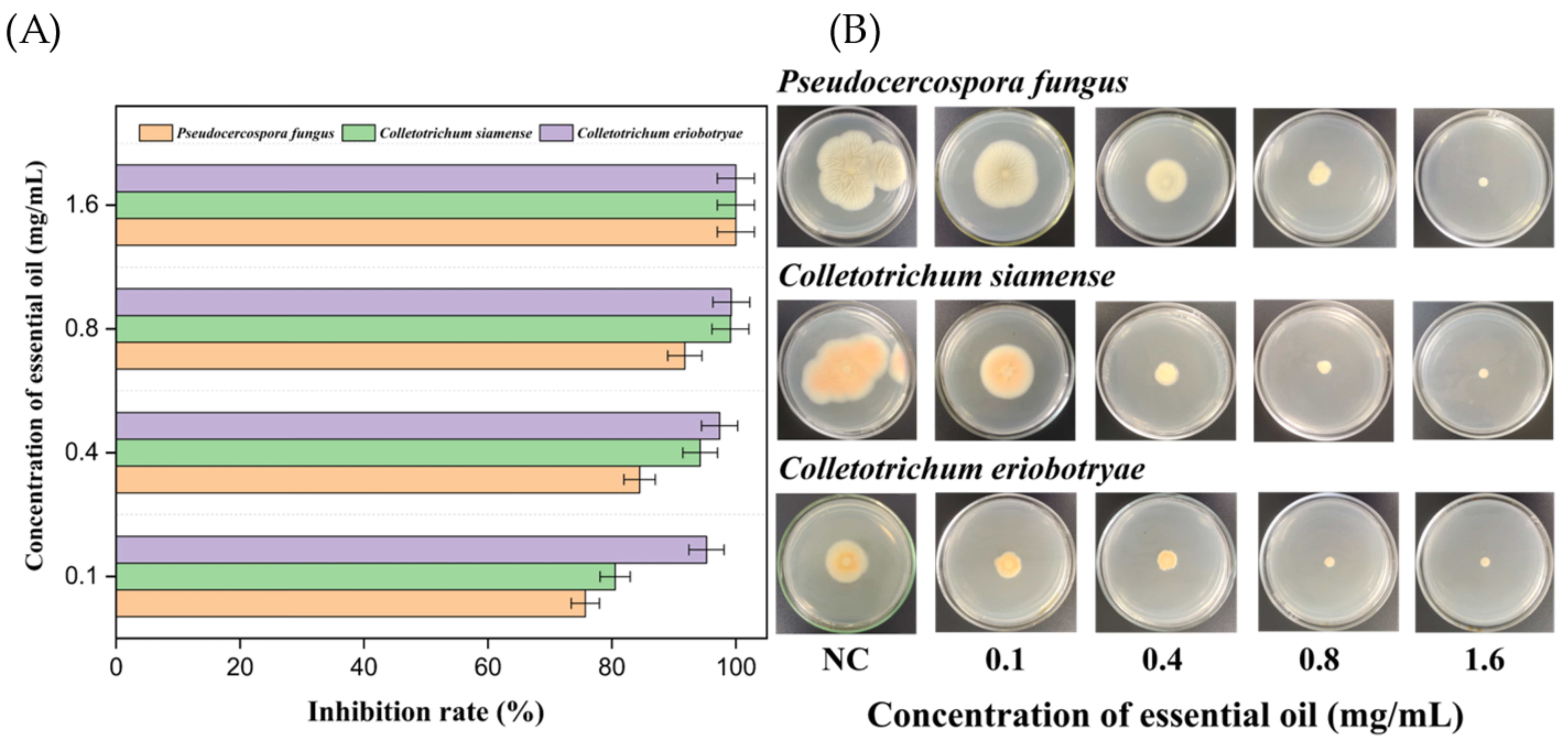 Separations 11 00147 g005