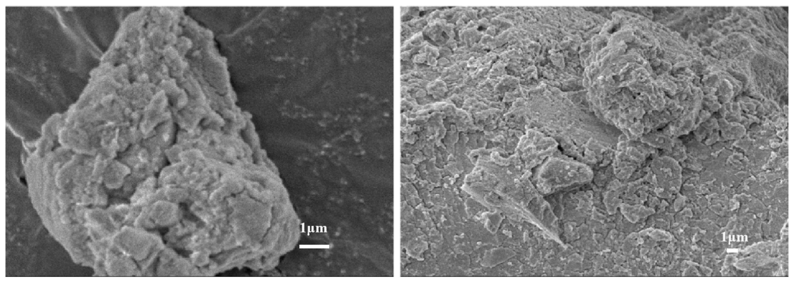 Separations 11 00149 g009