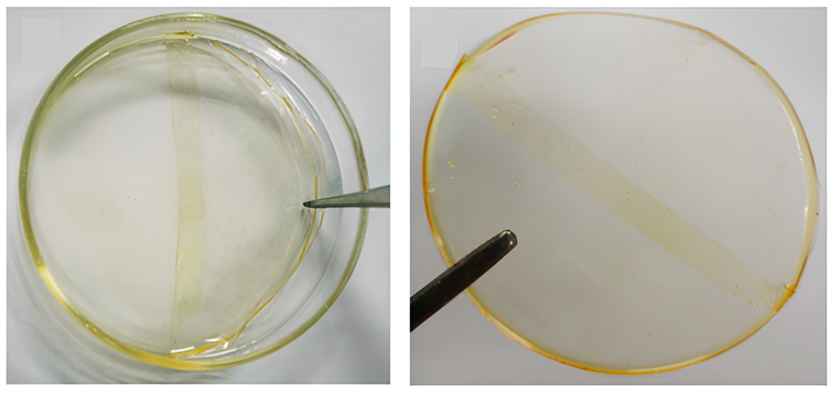 Separations 11 00159 g001