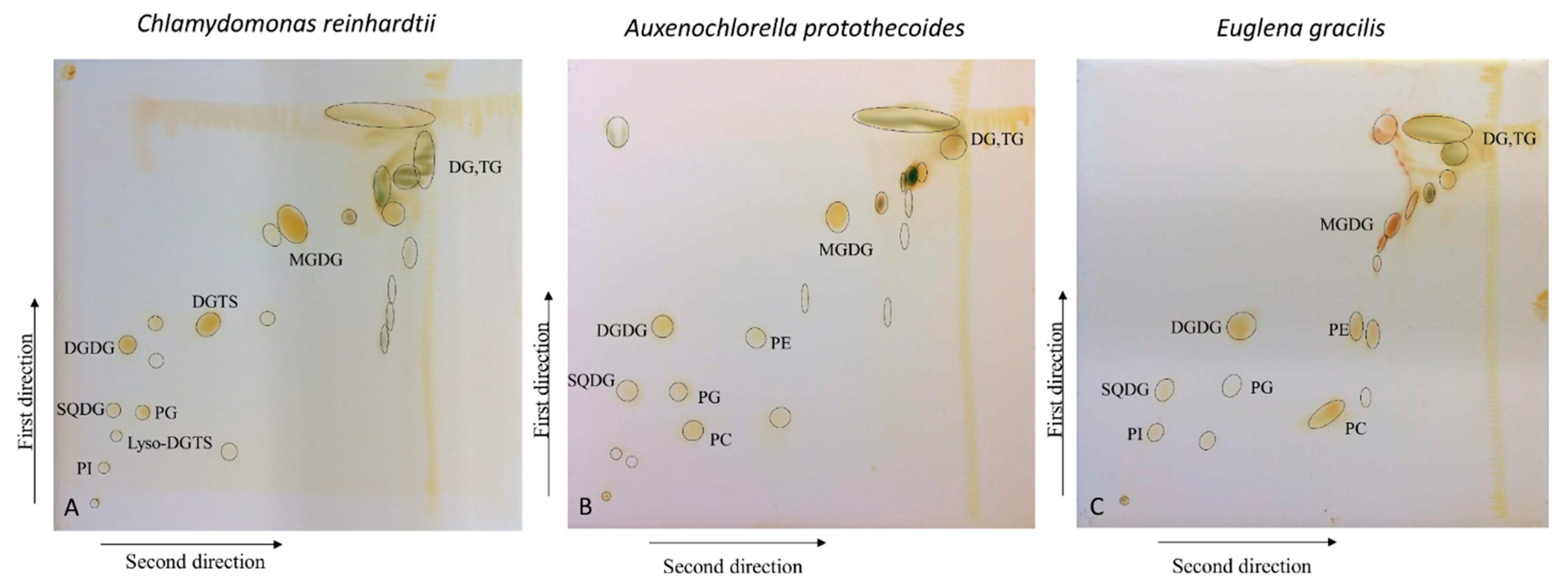 Separations 11 00161 g001