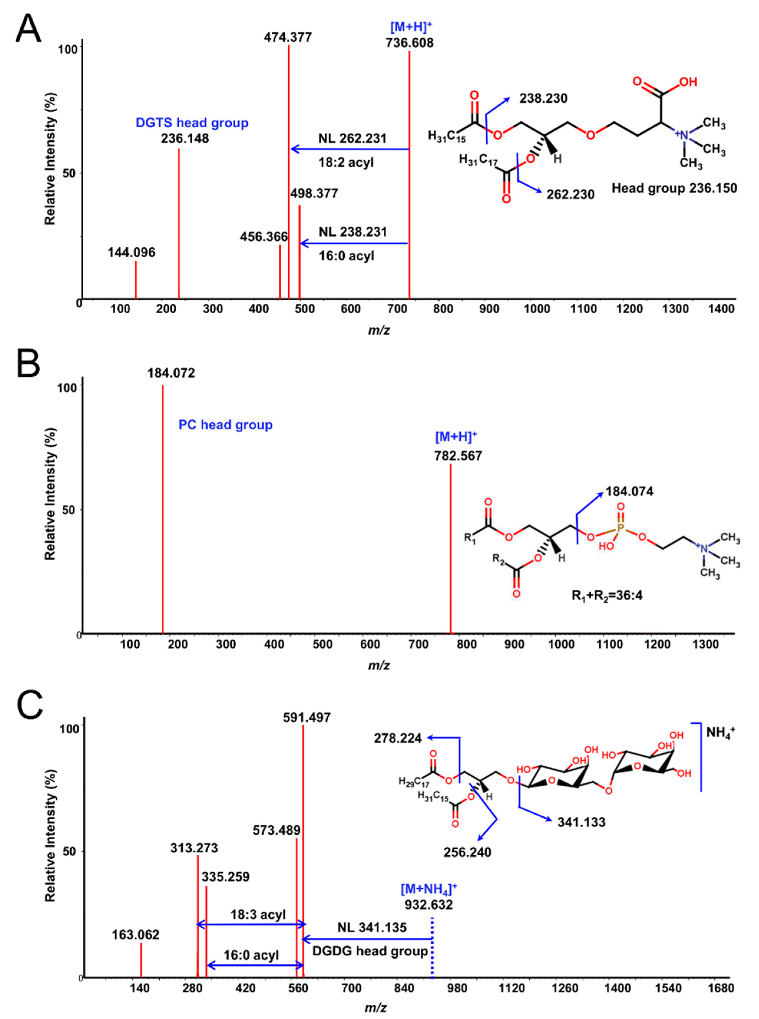 Separations 11 00161 g002