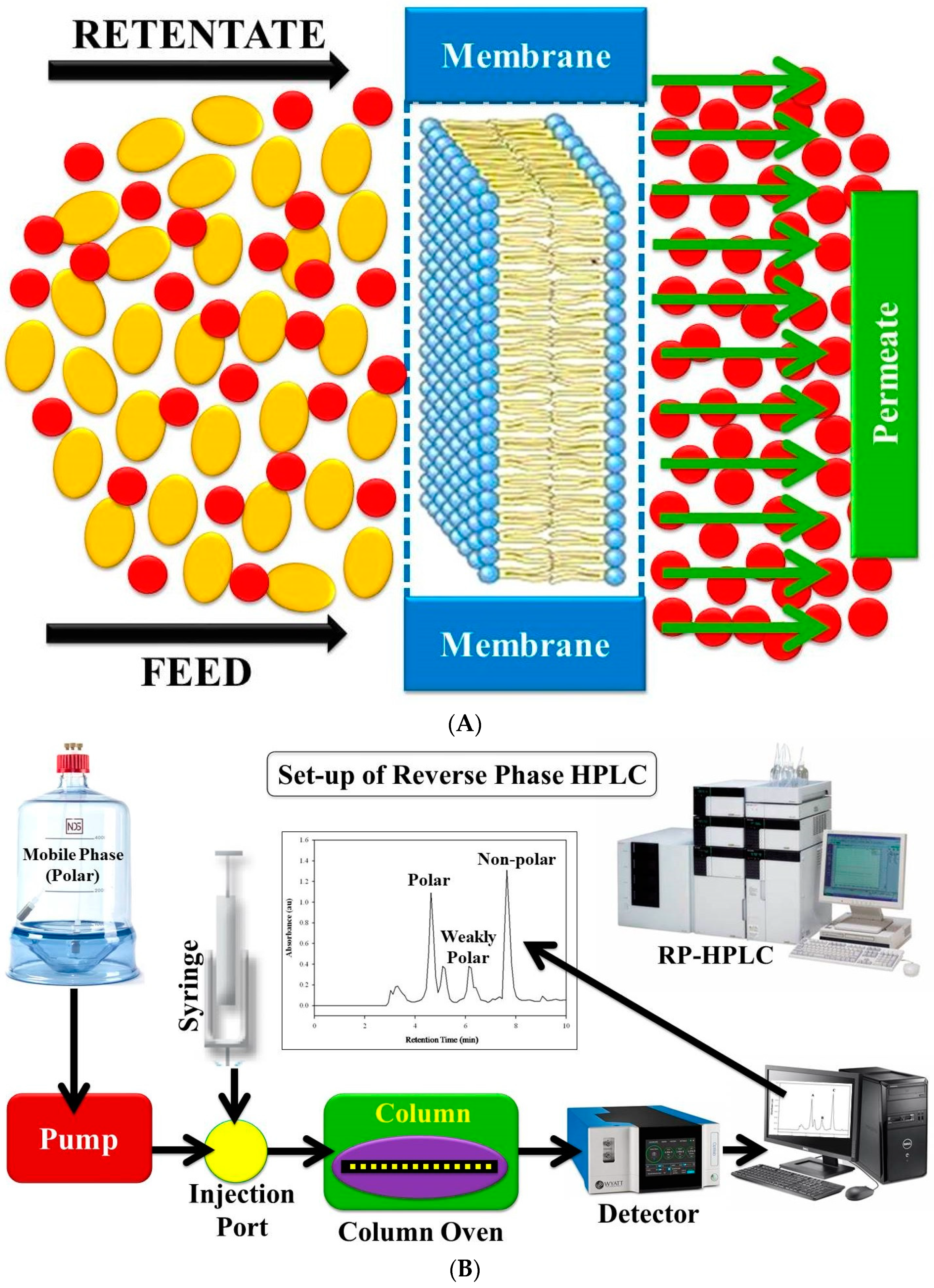 Separations 11 00166 g003a