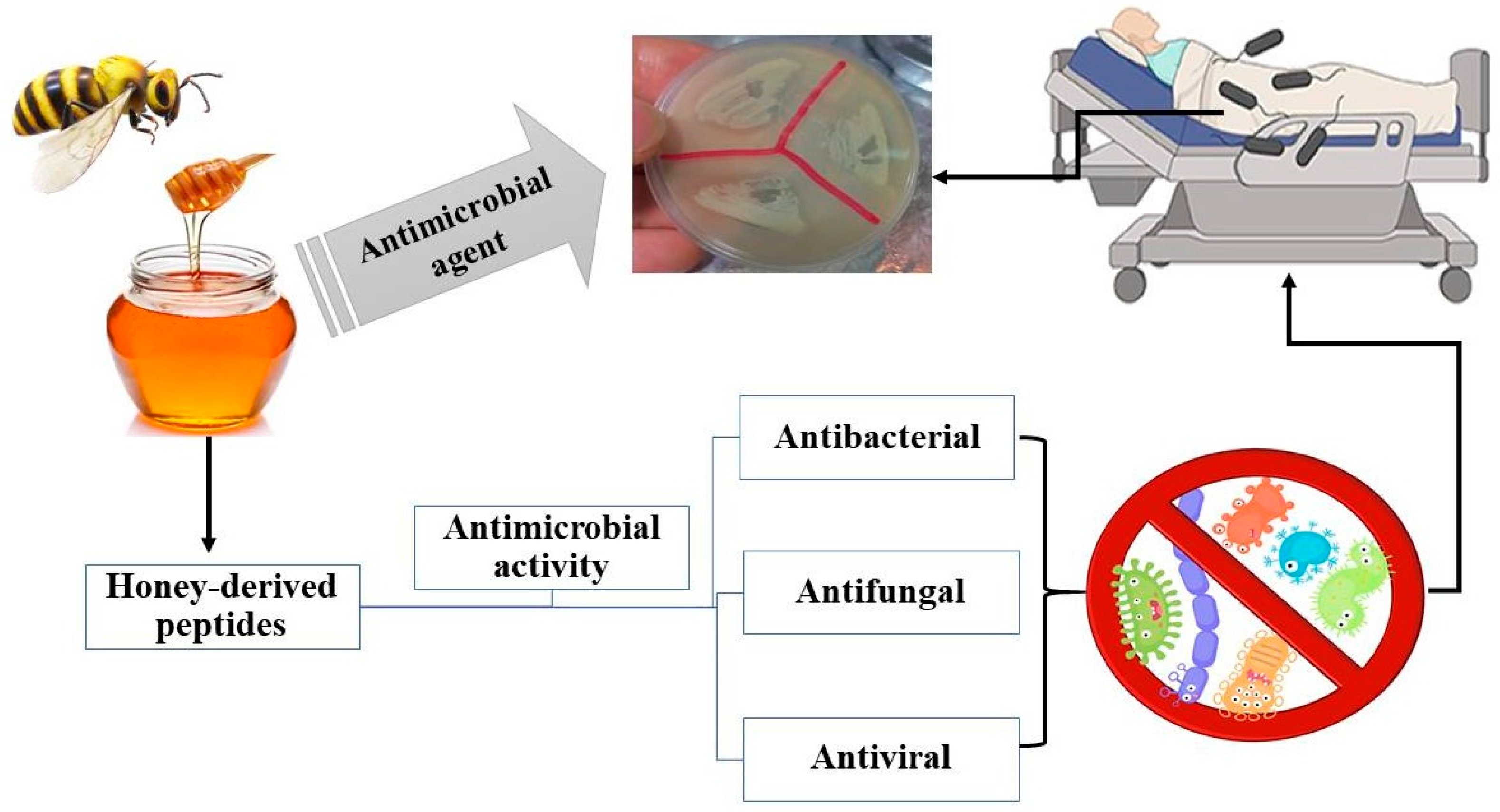 Separations 11 00166 g006