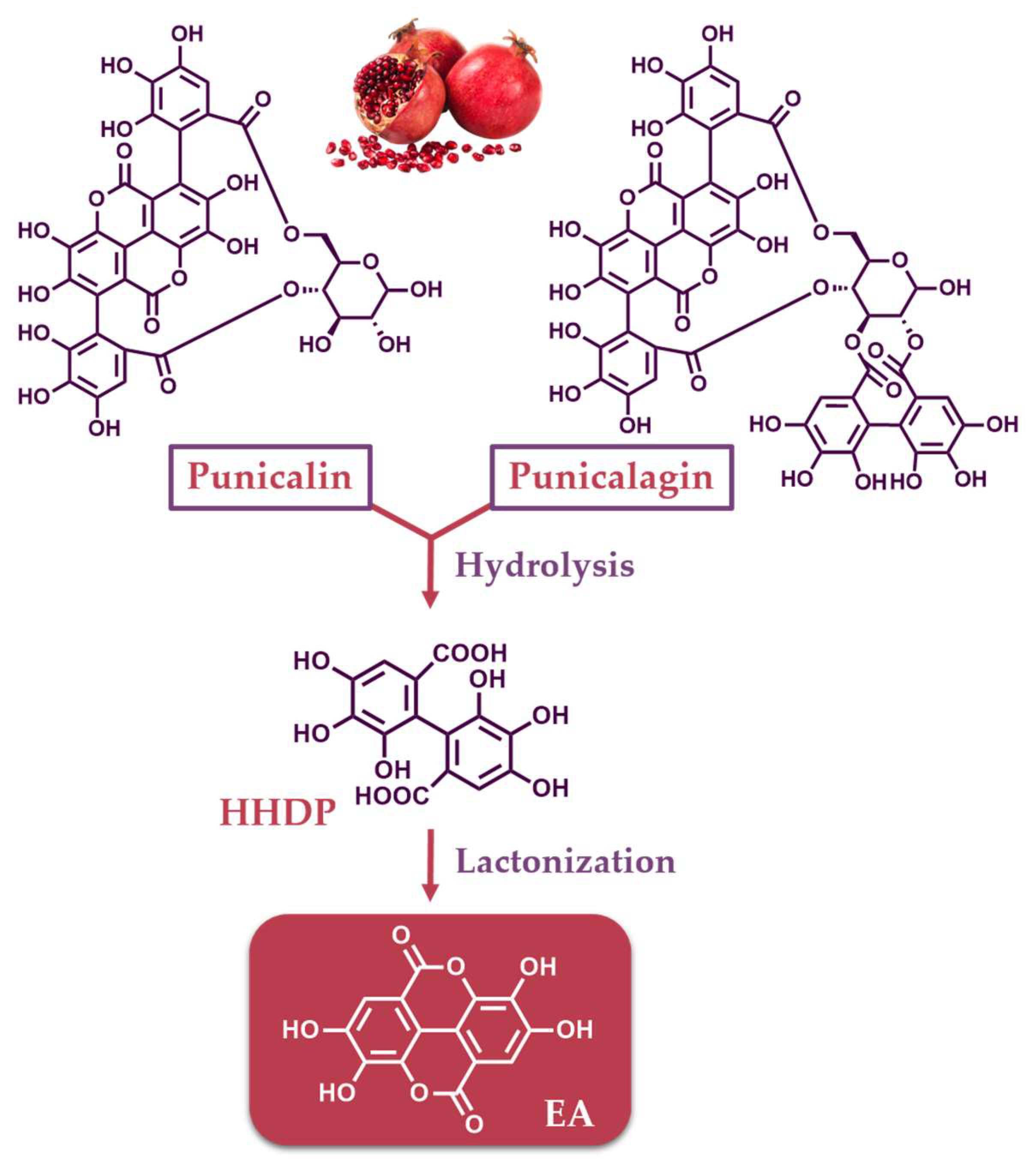 Separations 11 00174 g001