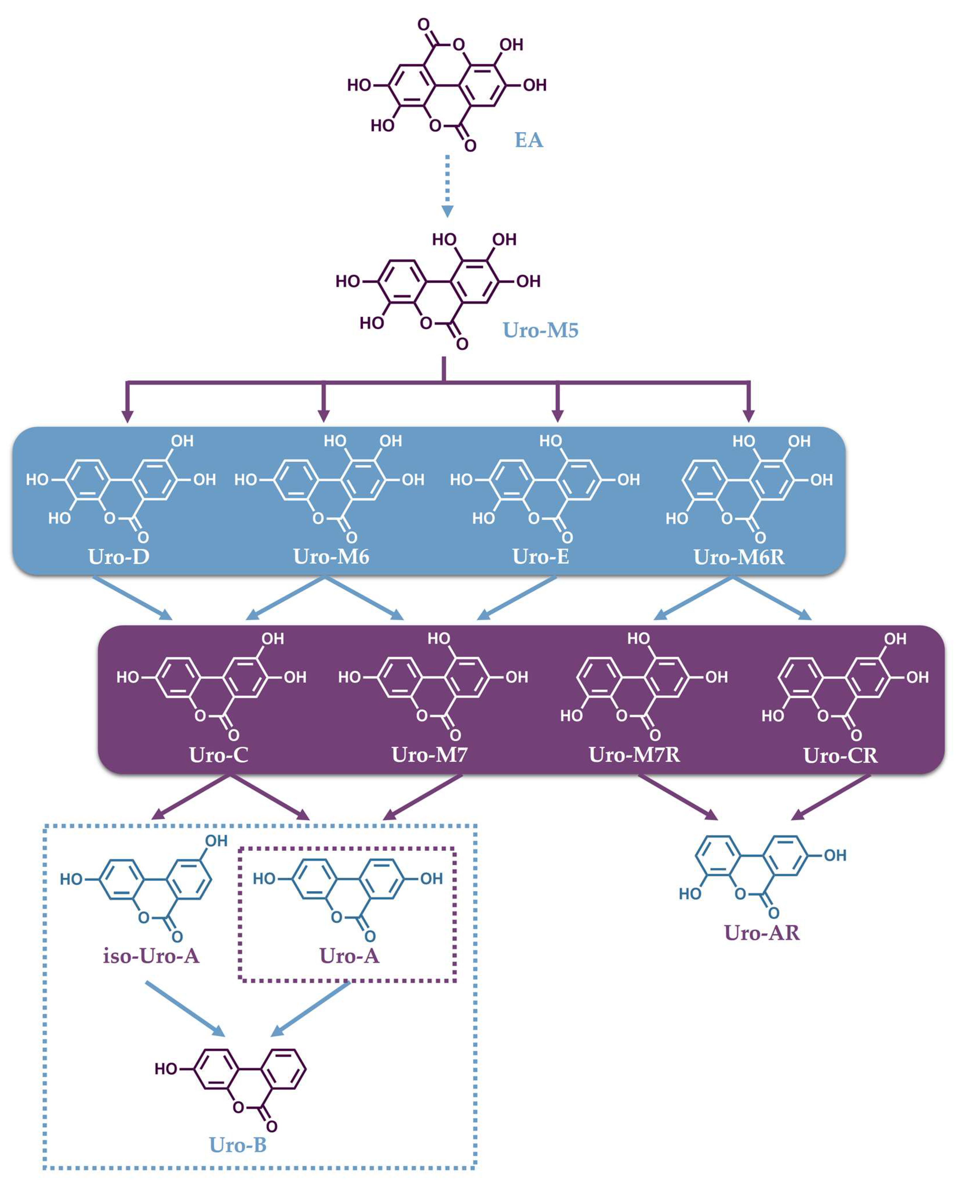 Separations 11 00174 g002