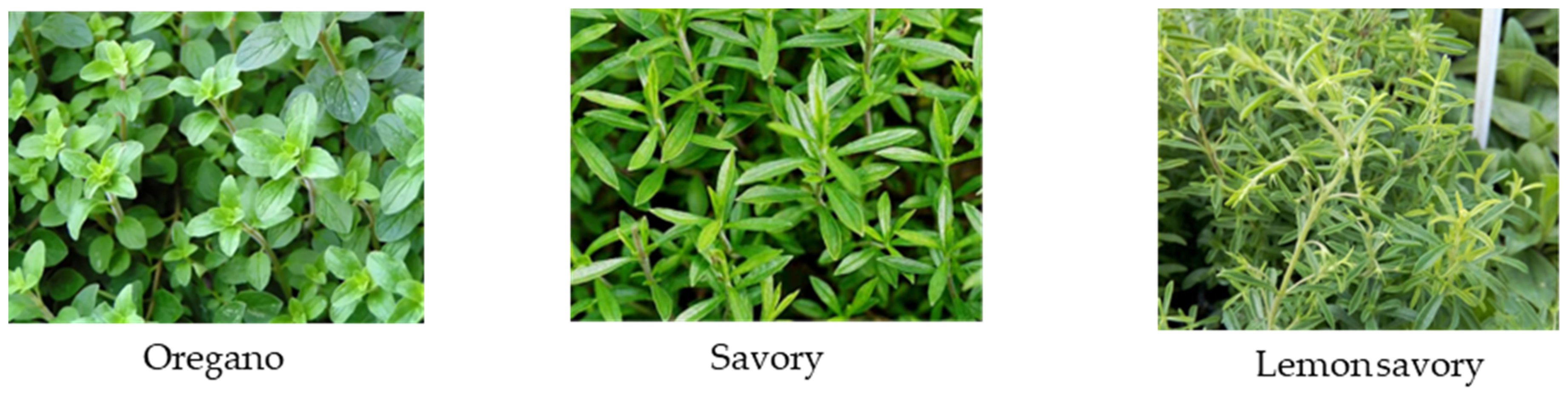 Separations 11 00181 g001