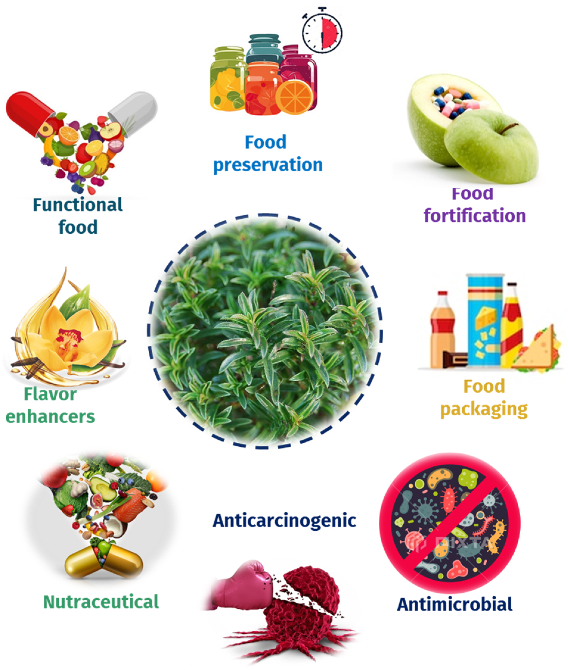 Separations 11 00181 g004