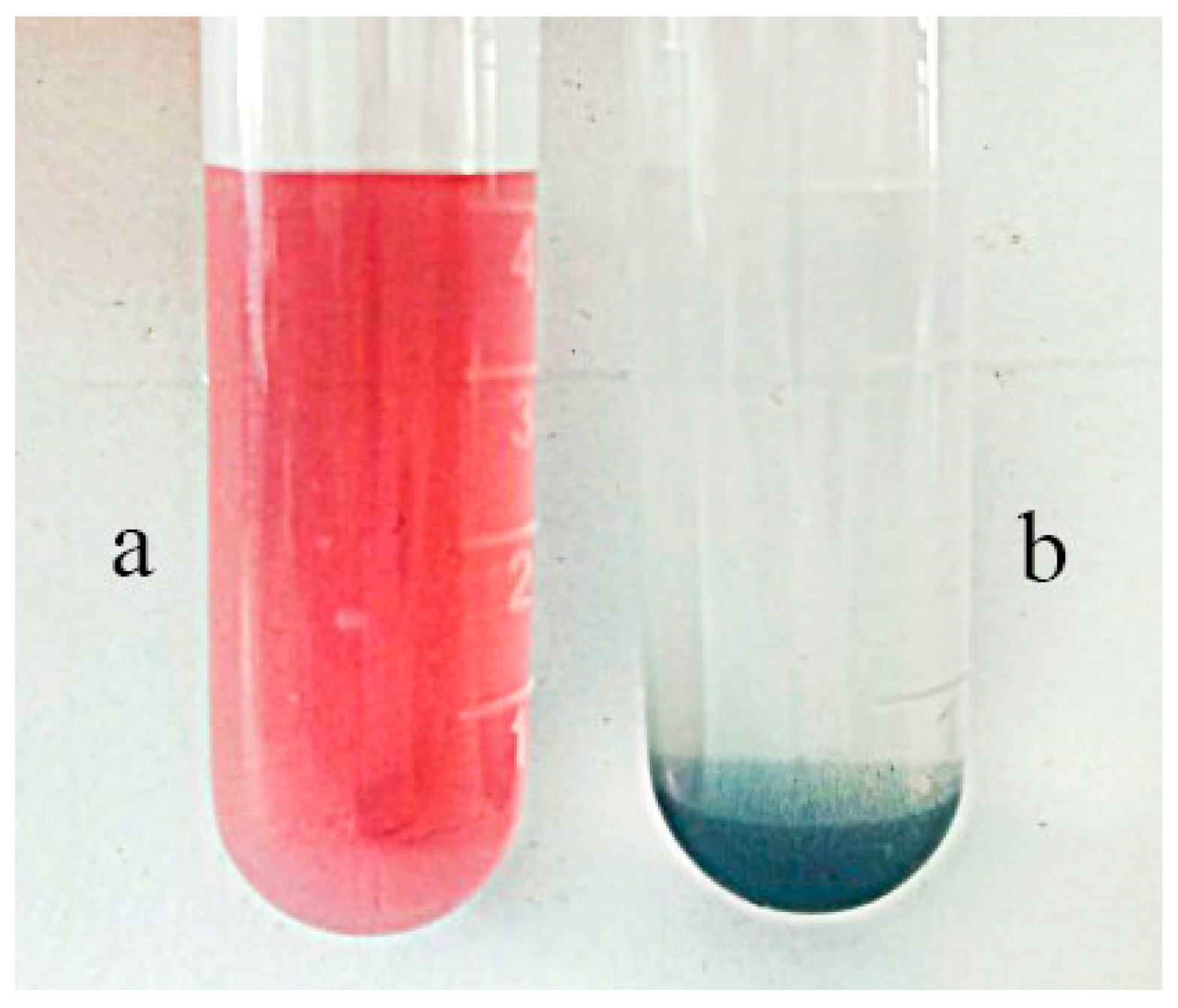 Separations 11 00185 g013