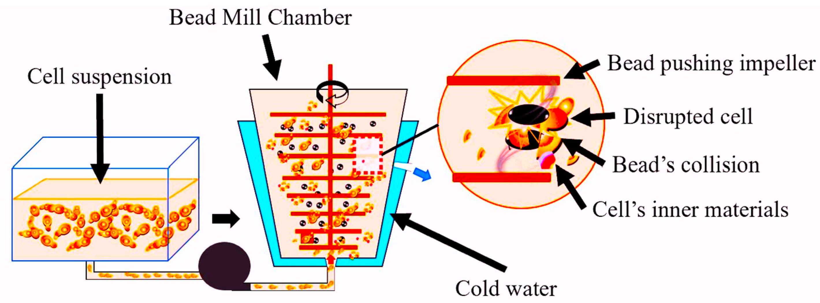 Separations 11 00186 g002