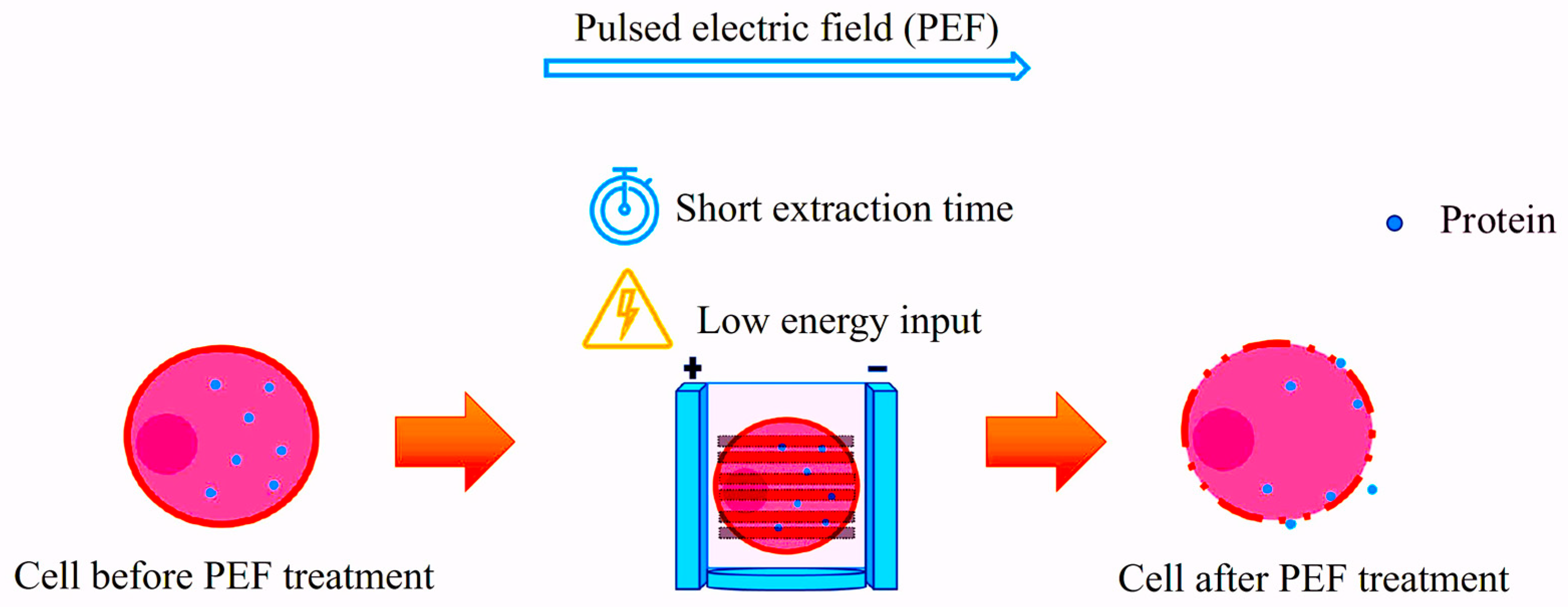 Separations 11 00186 g005
