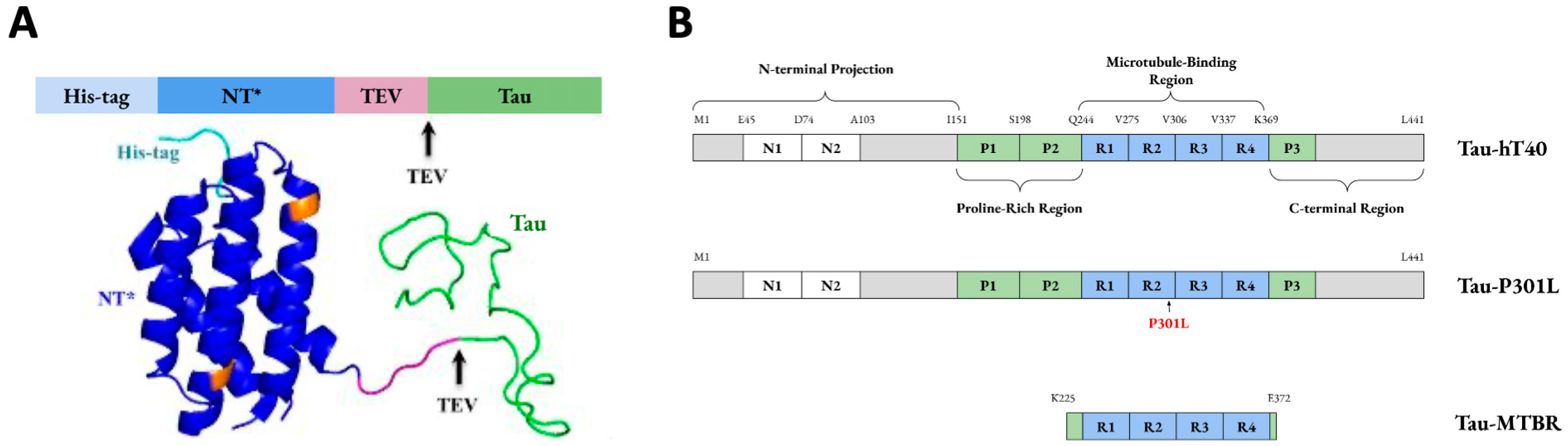 Separations 11 00198 g001