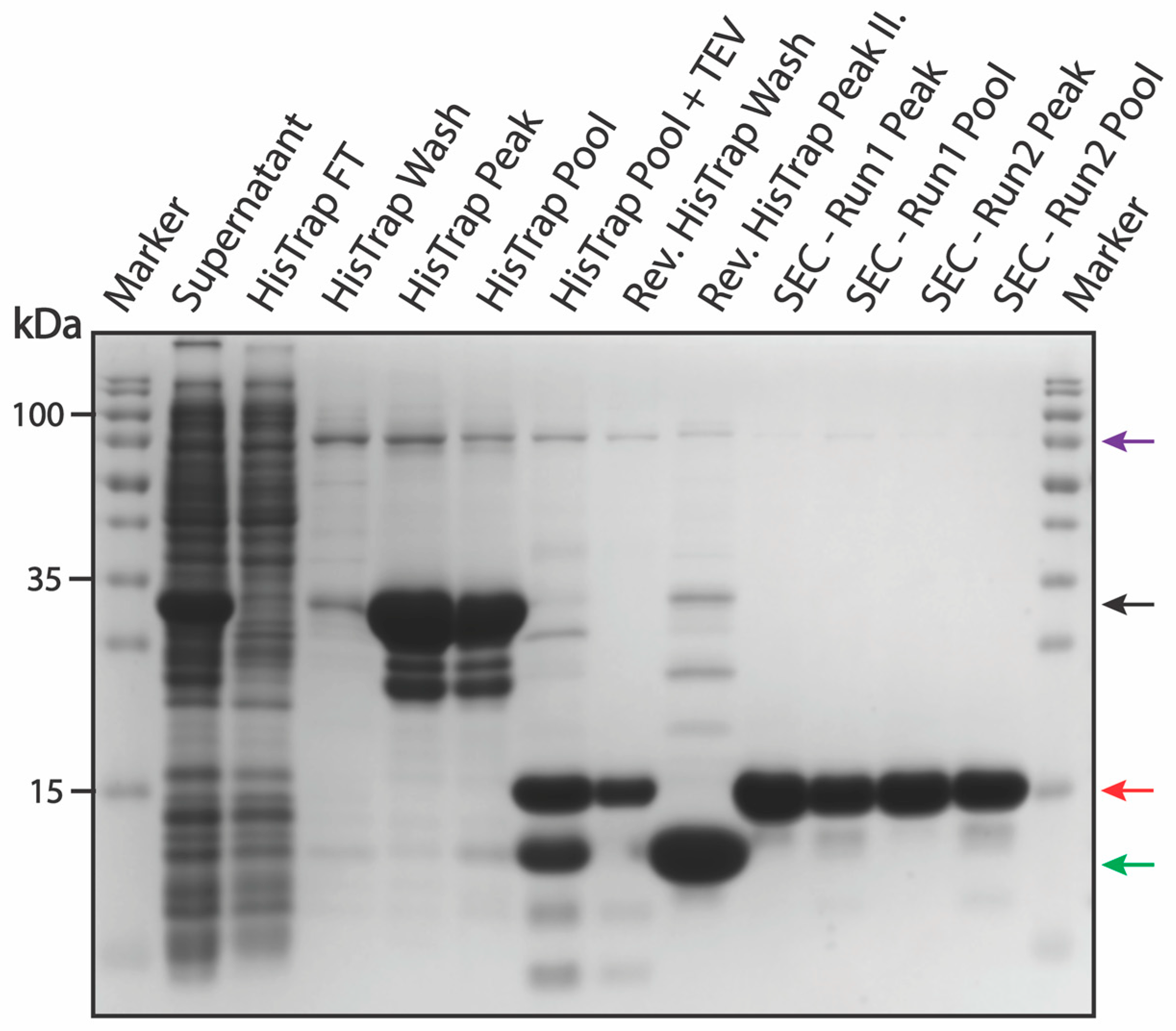 Separations 11 00198 g004