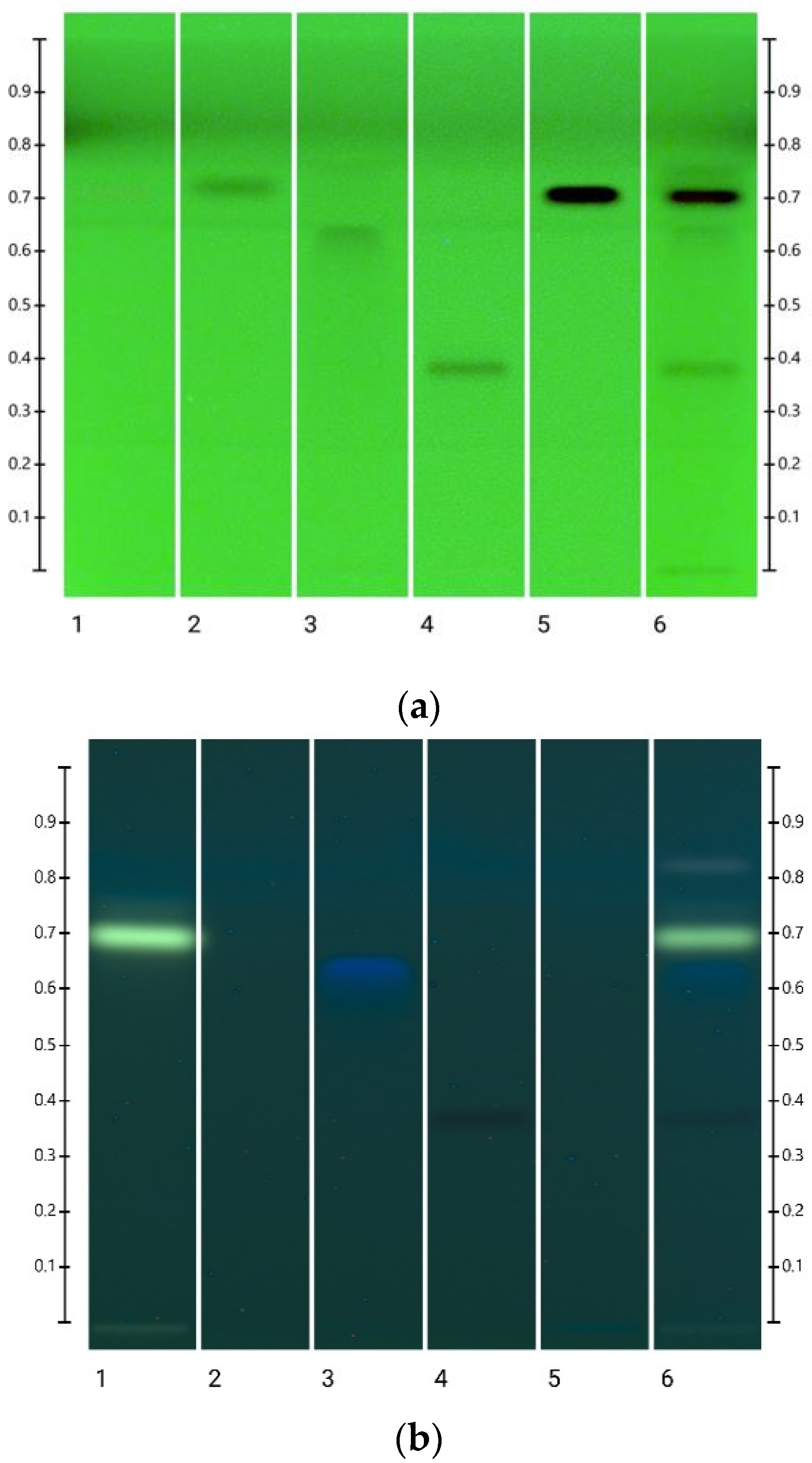 Separations 11 00207 g002