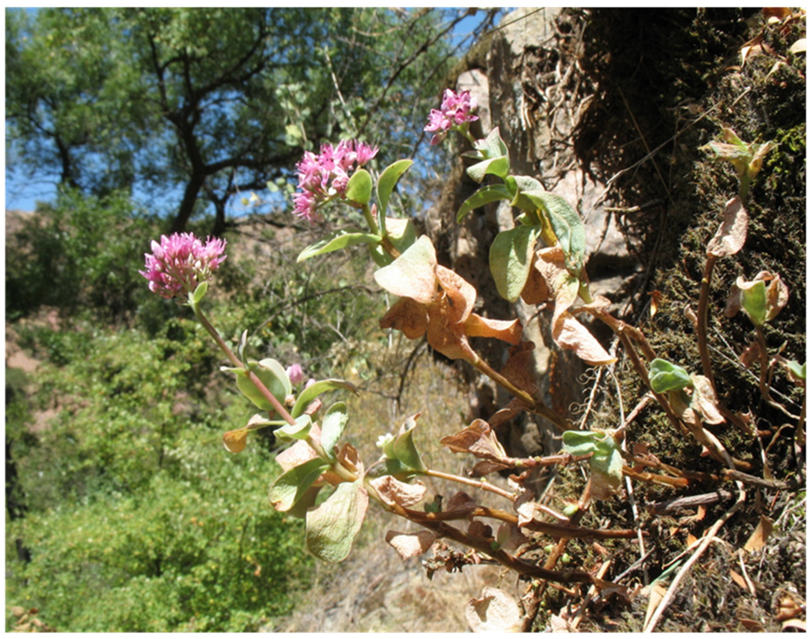 Separations 11 00208 g001