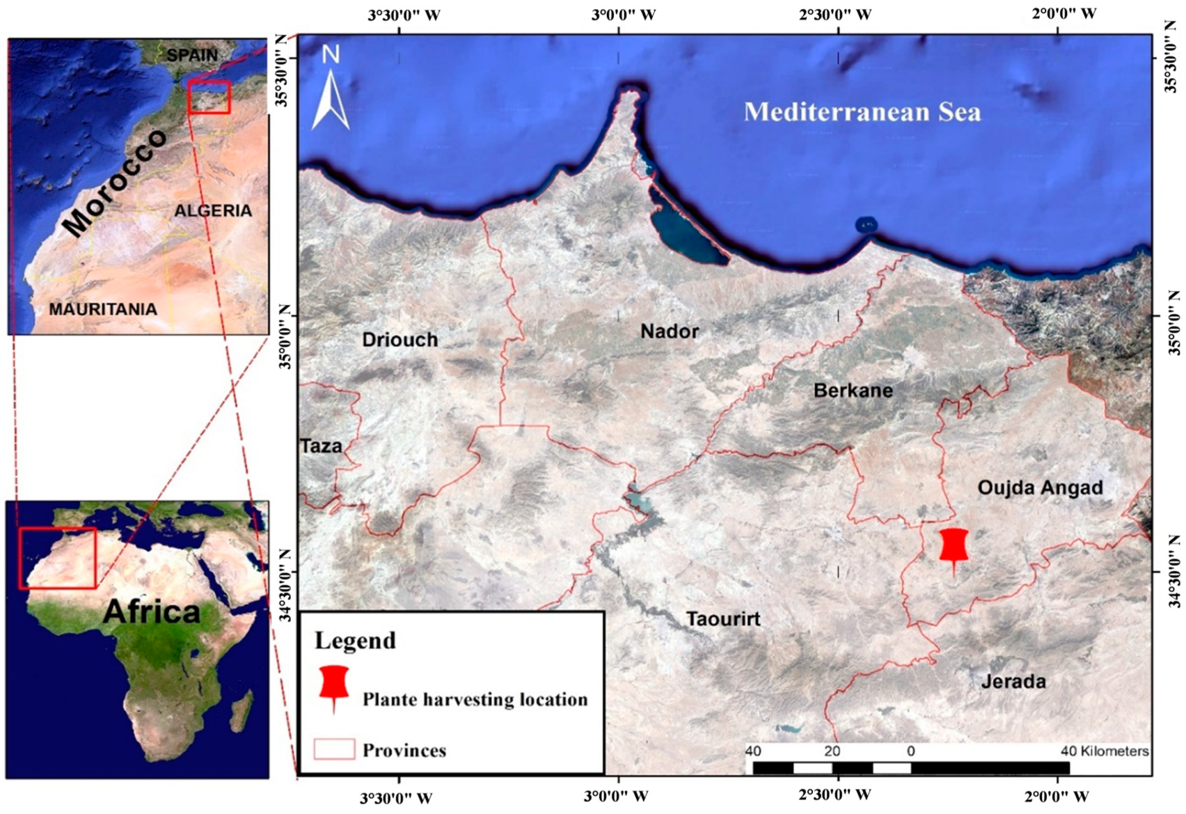 Separations 11 00209 g001