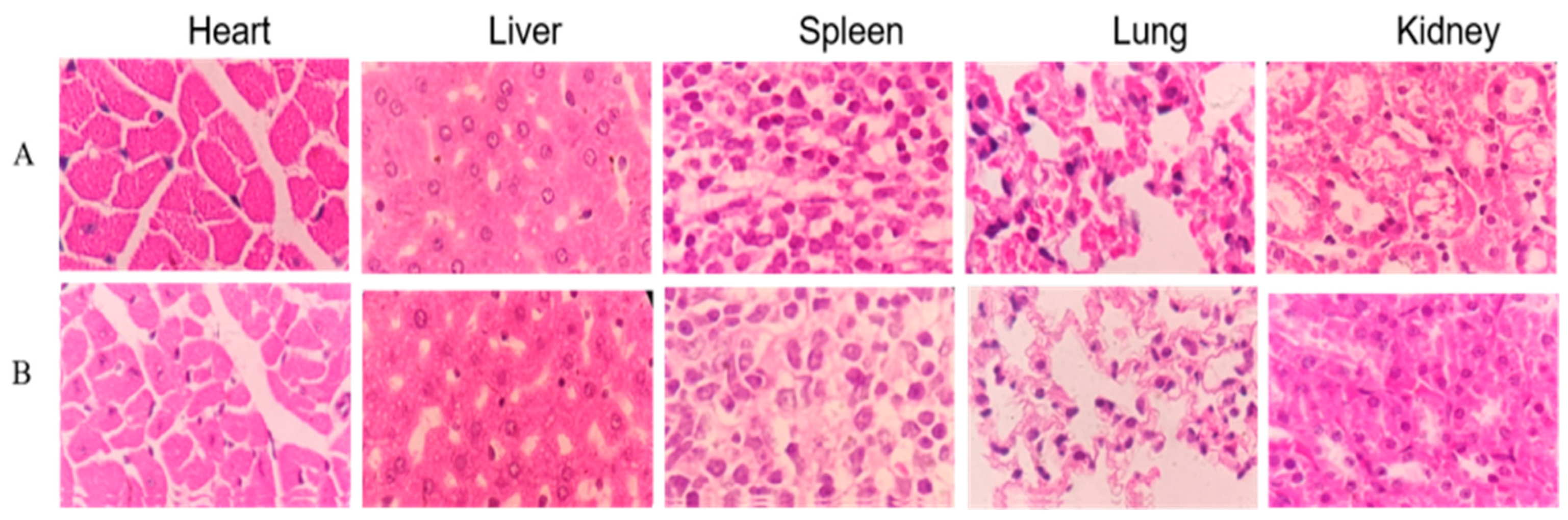 Separations 11 00210 g005