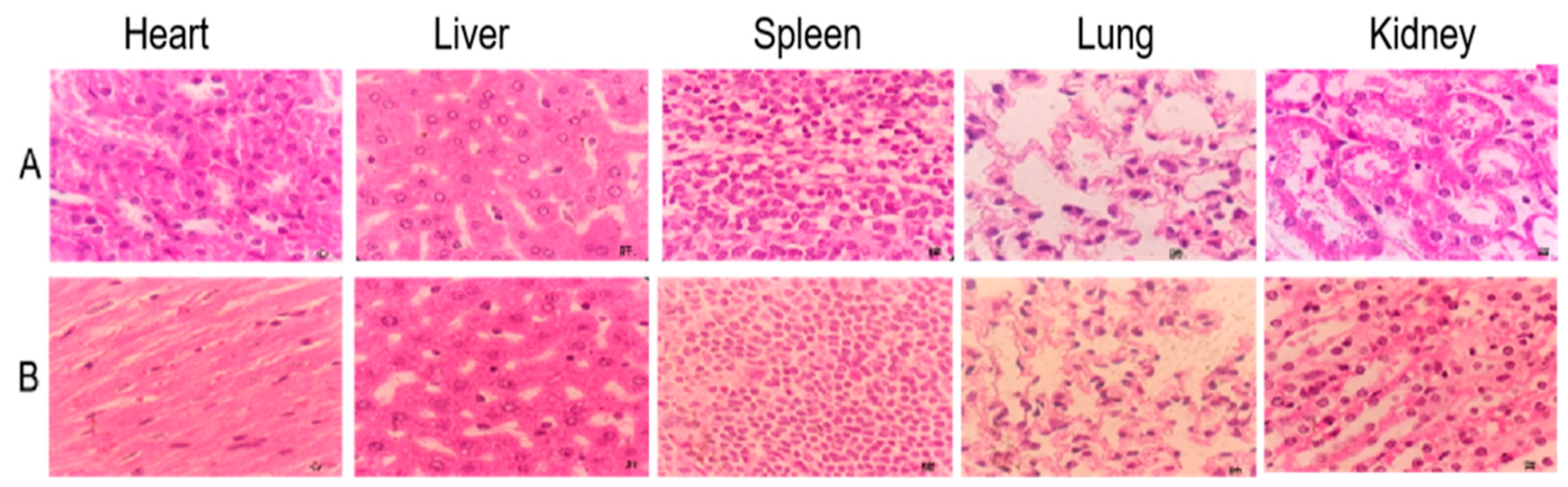 Separations 11 00210 g007