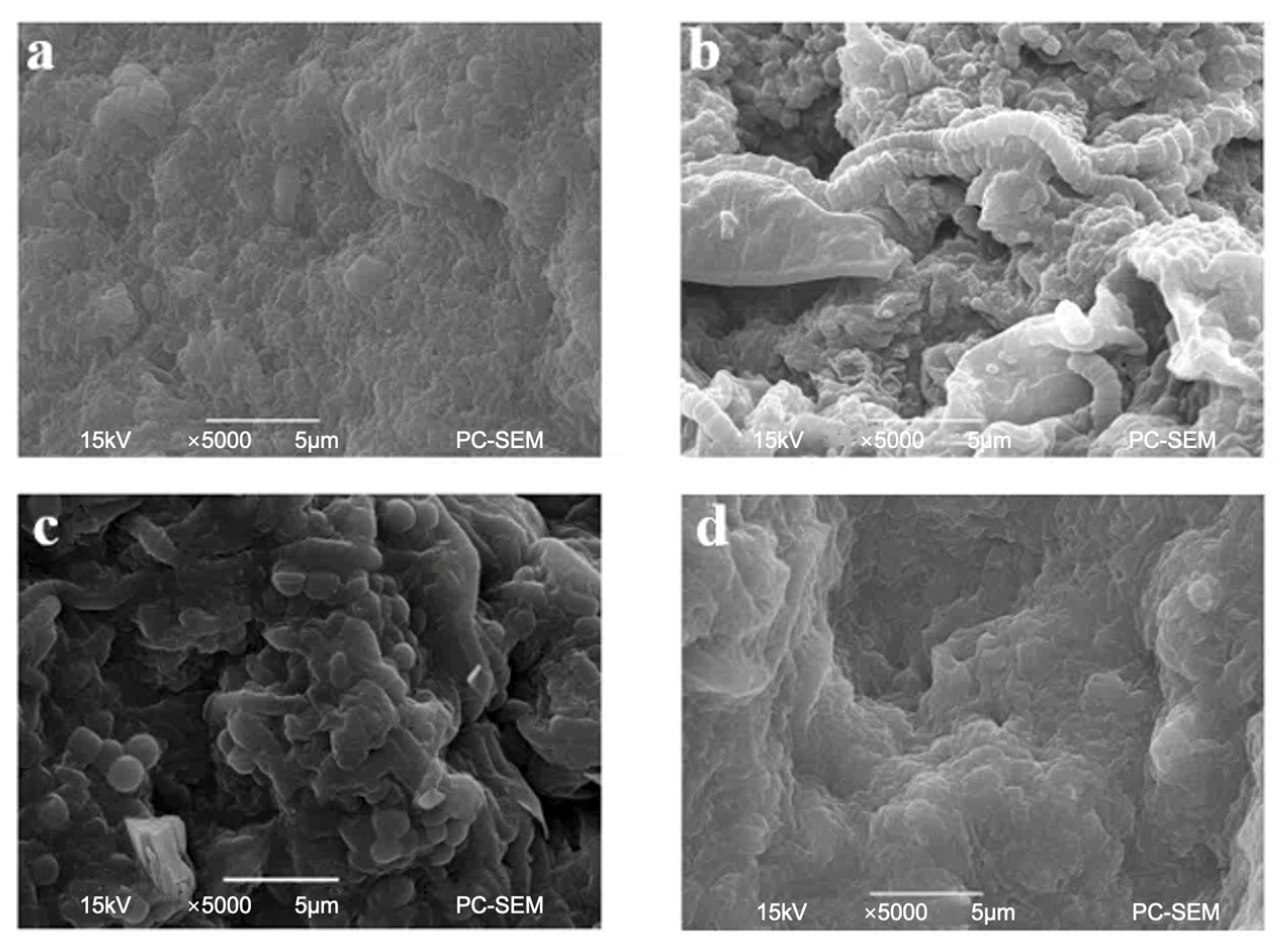 Separations 11 00227 g007