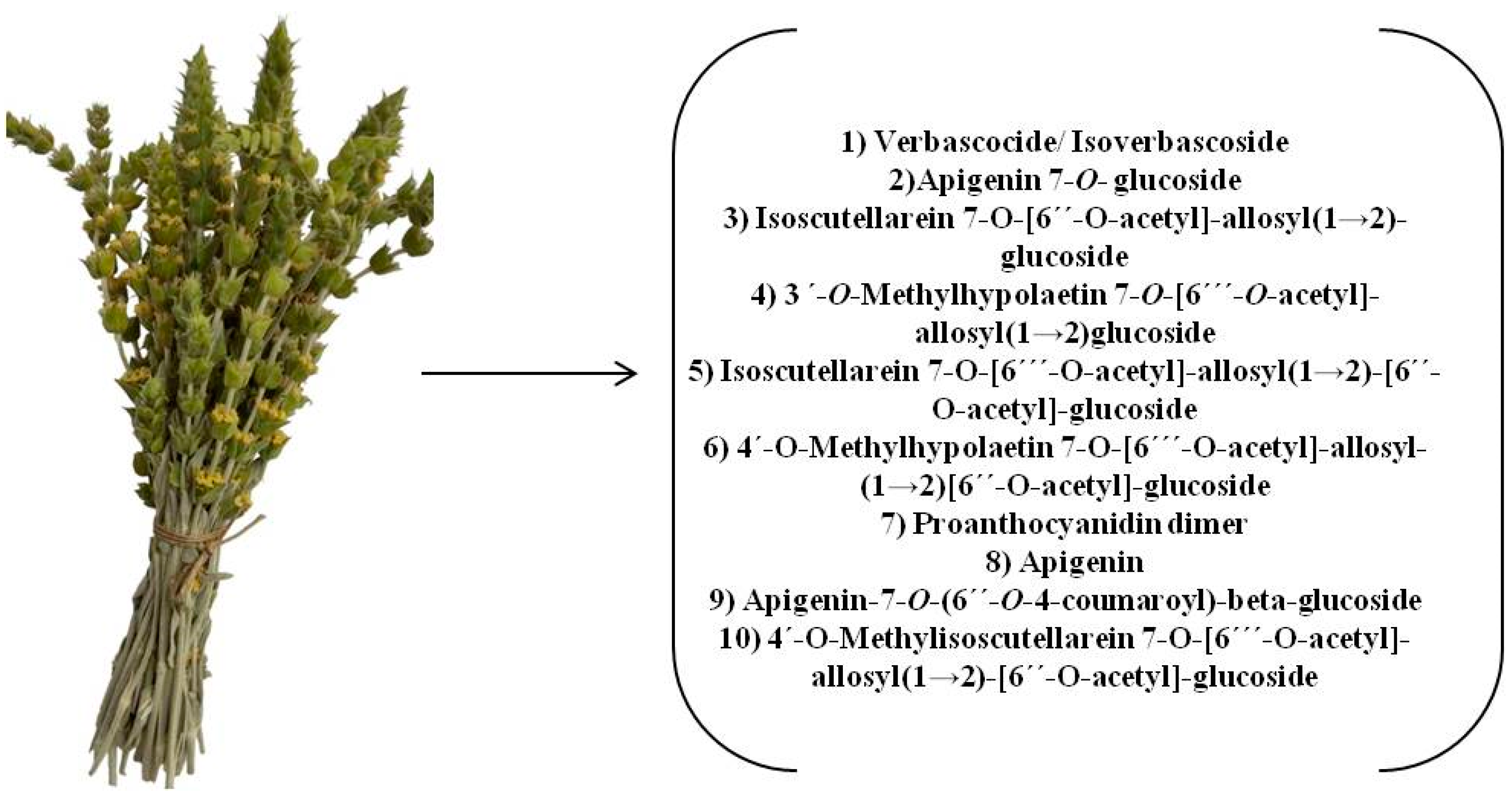 Separations 11 00229 g006