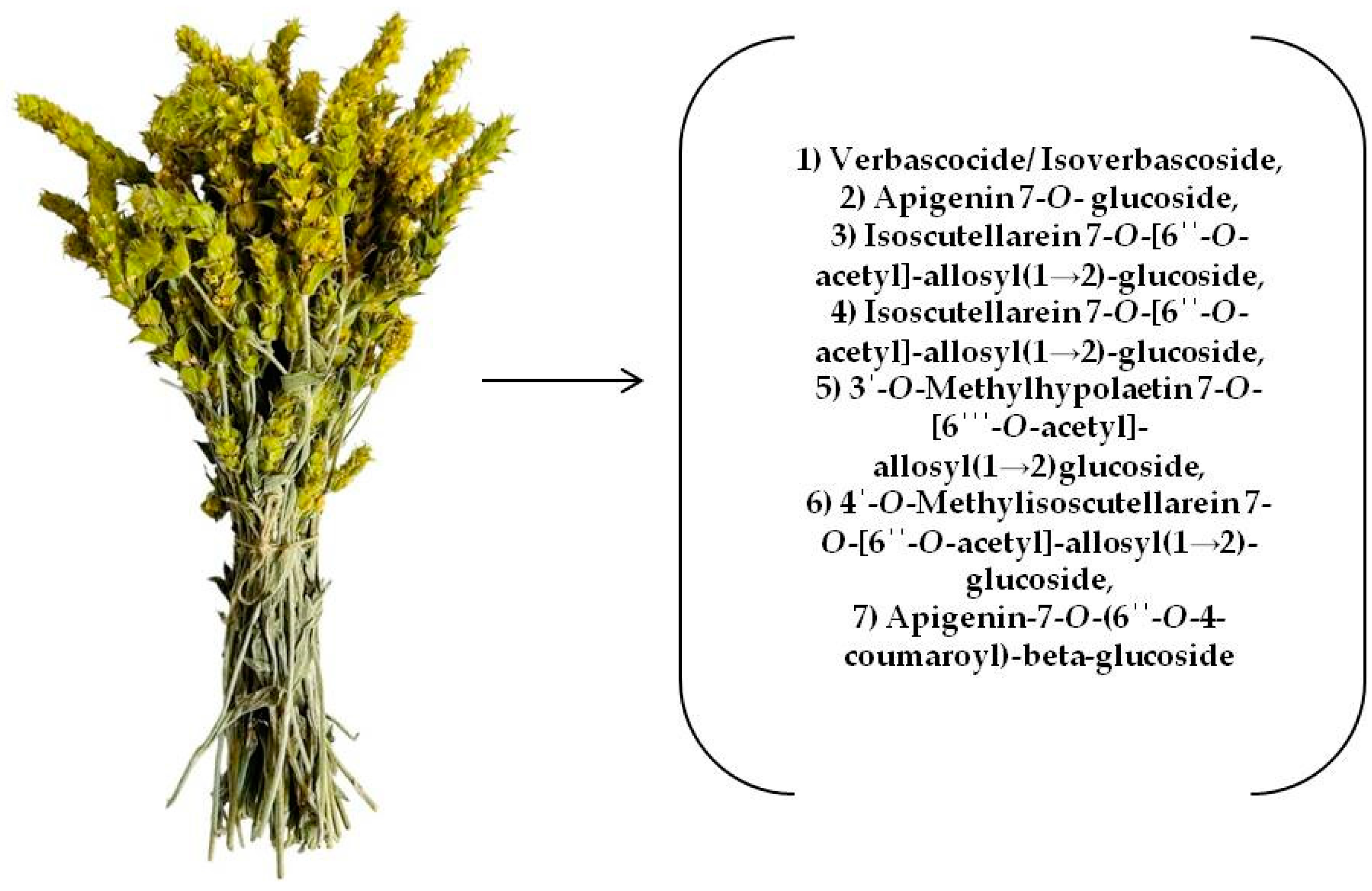 Separations 11 00229 g010