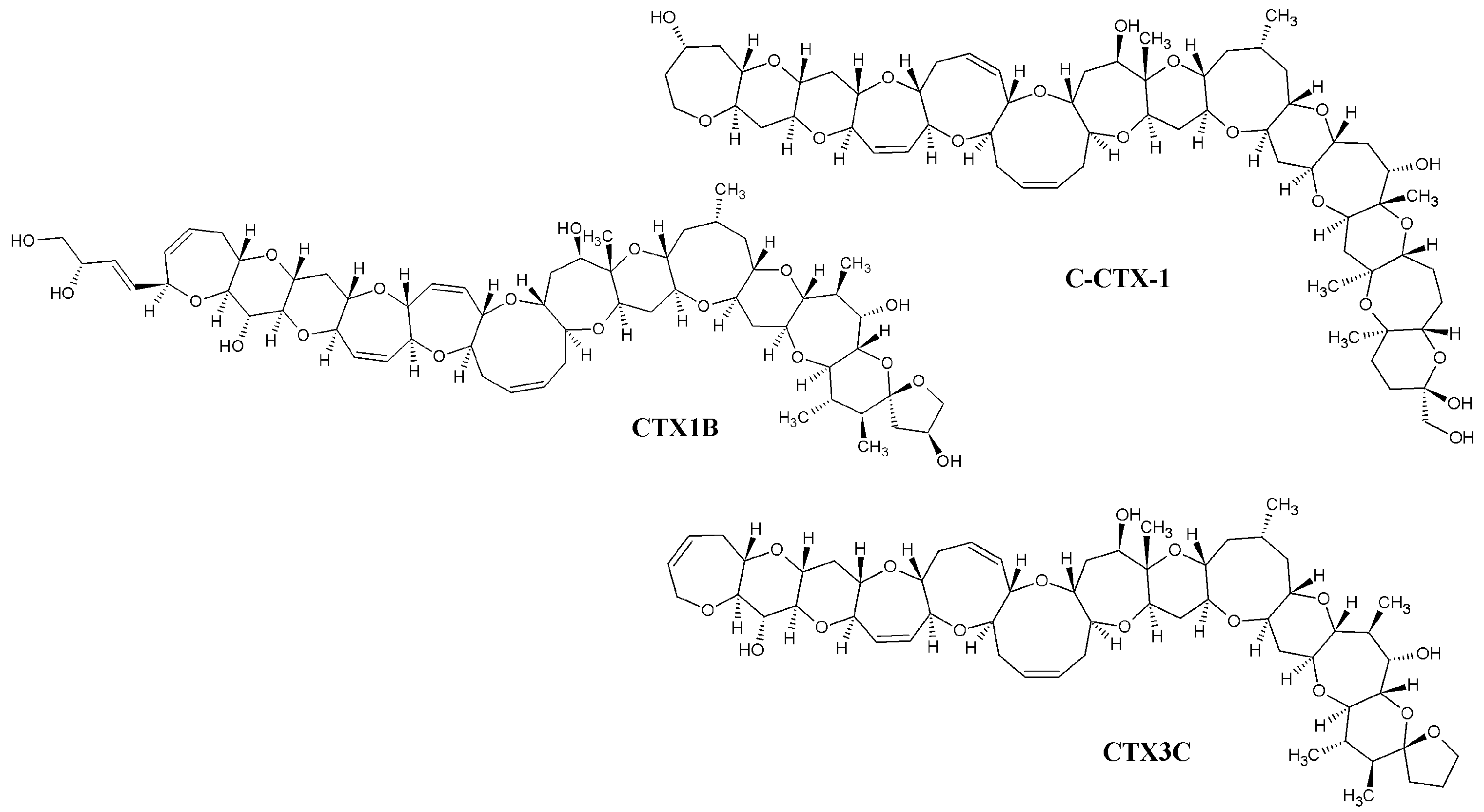 Separations 11 00238 g001