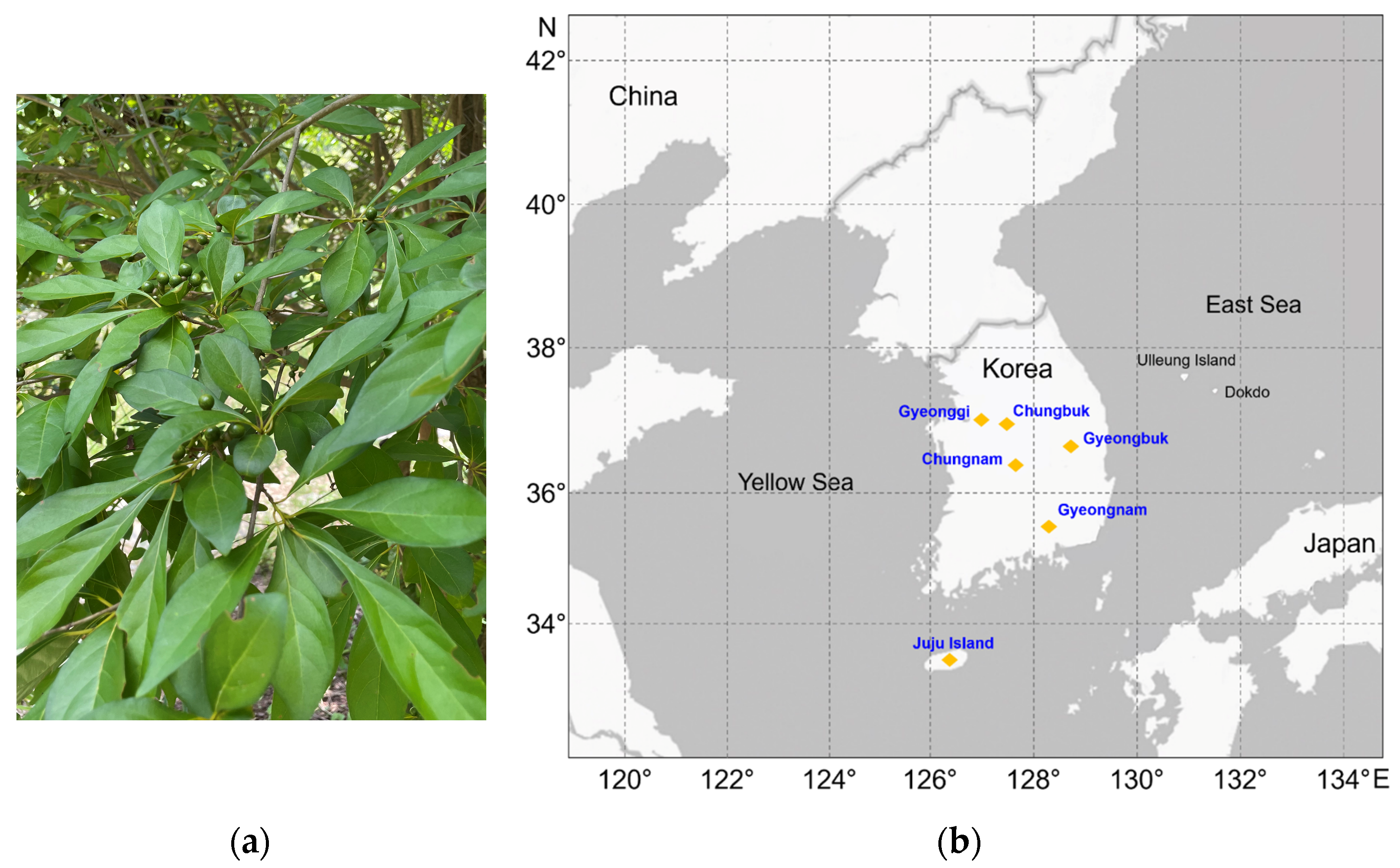 Separations 11 00252 g001
