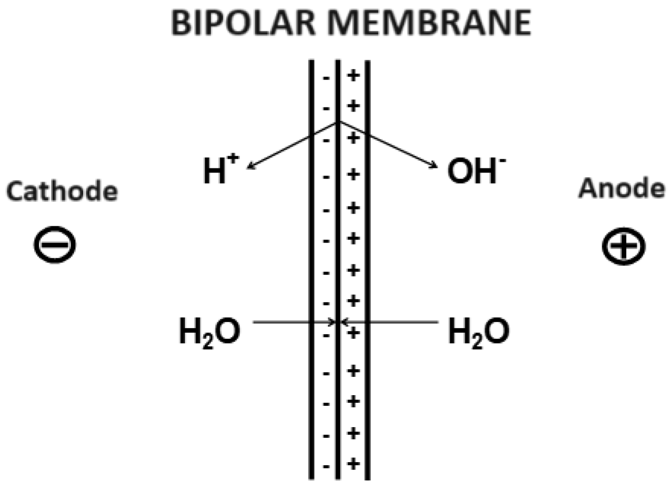 Separations 11 00253 g001