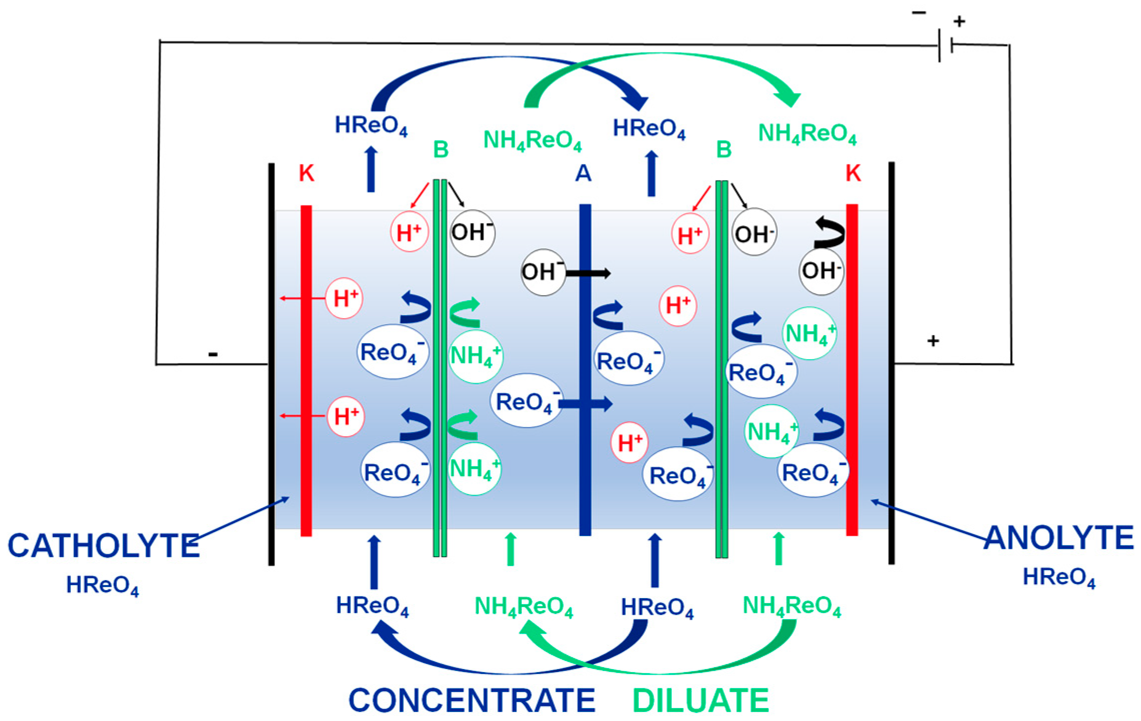 Separations 11 00253 g005