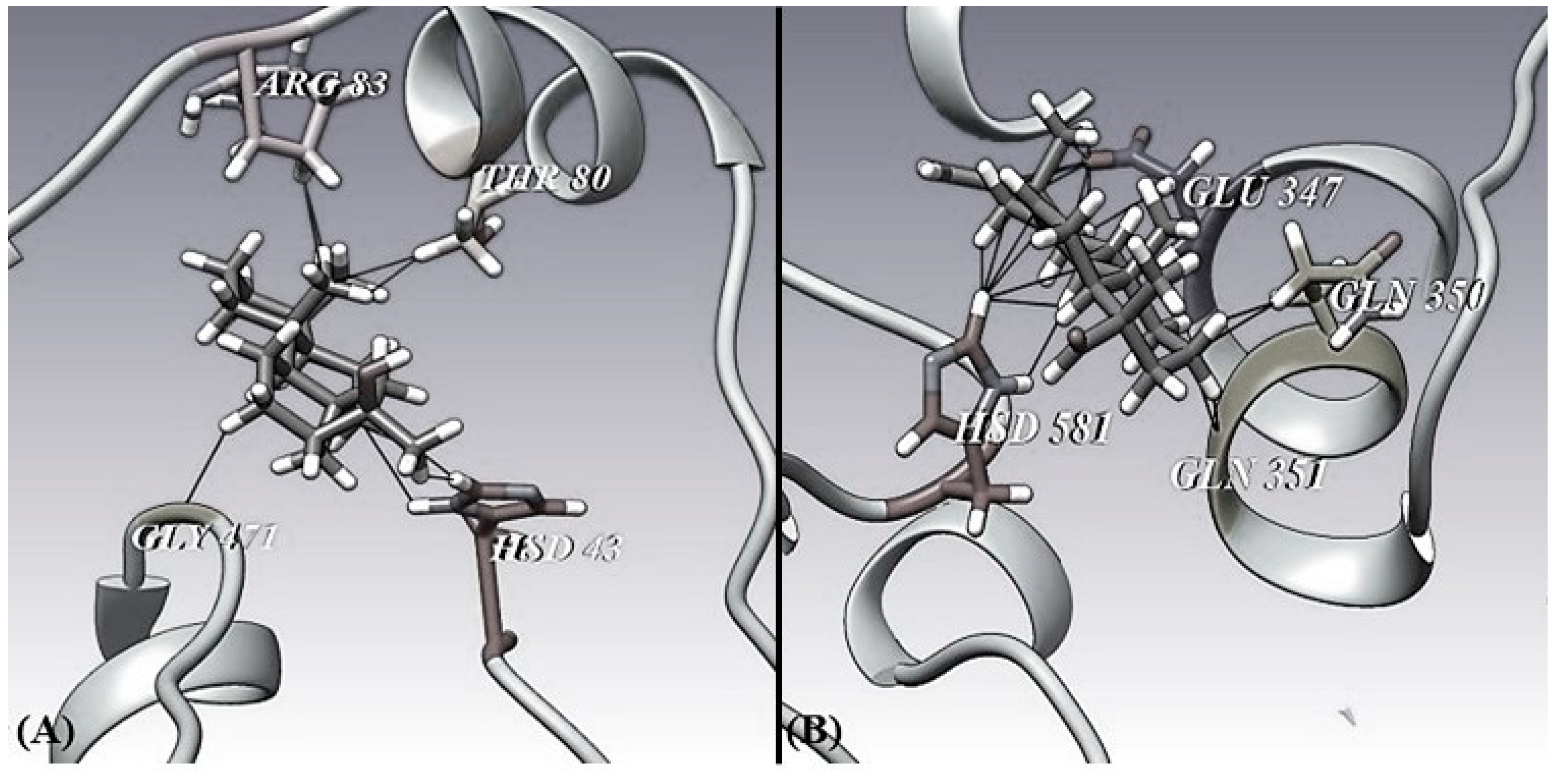 Separations 11 00263 g003 Separations 11 00263 g003