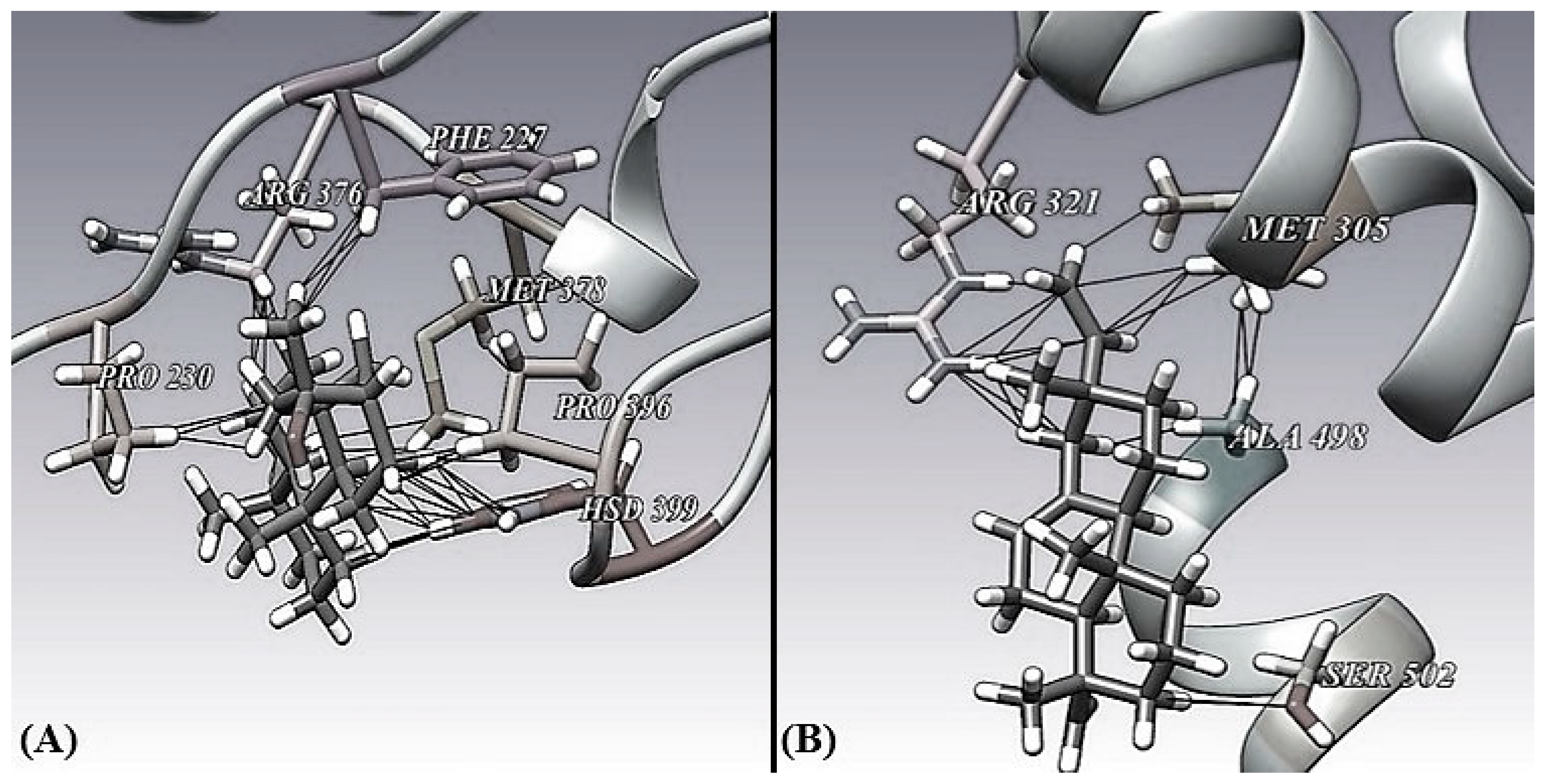 Separations 11 00263 g004 Separations 11 00263 g004