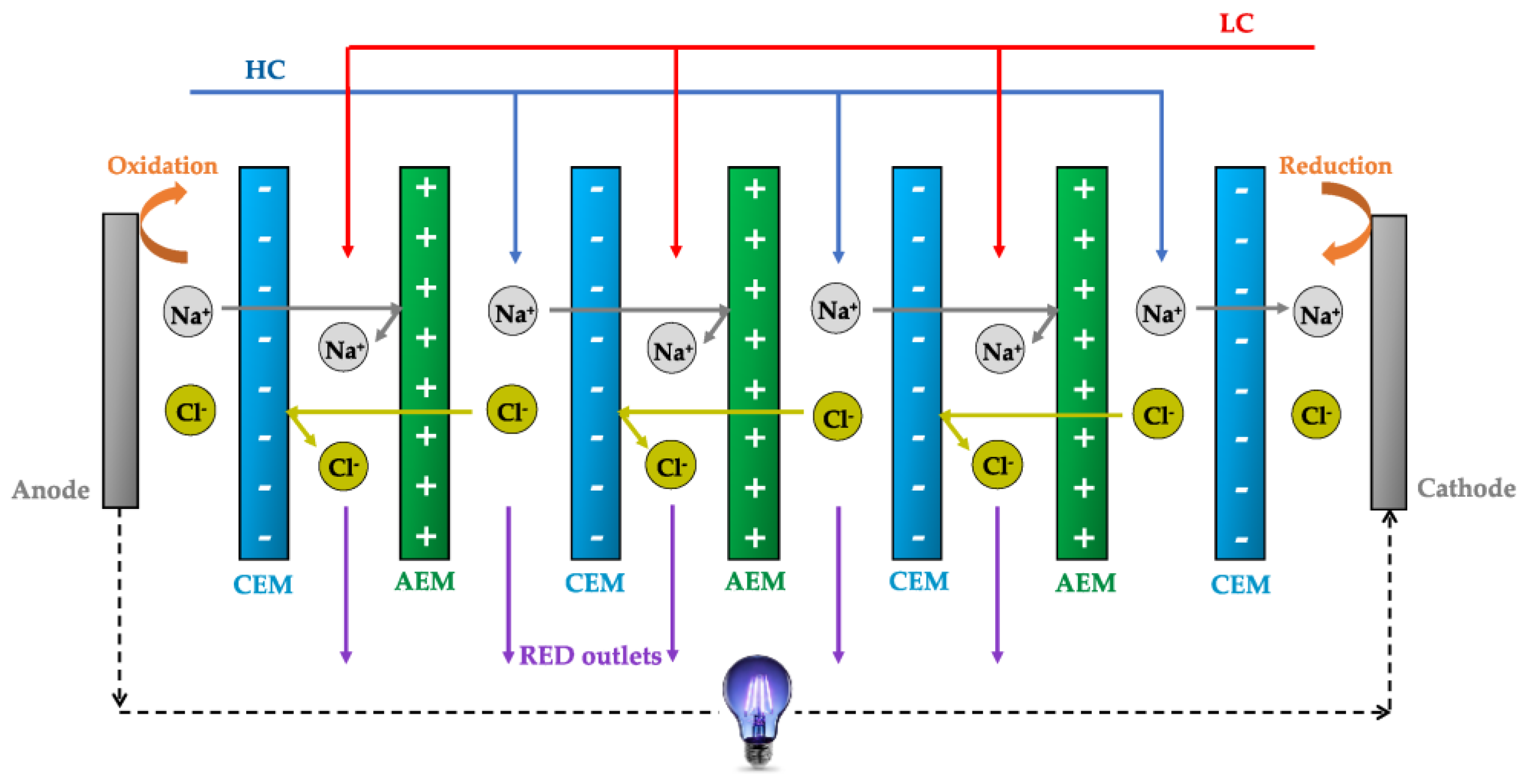 Separations 11 00291 g014
