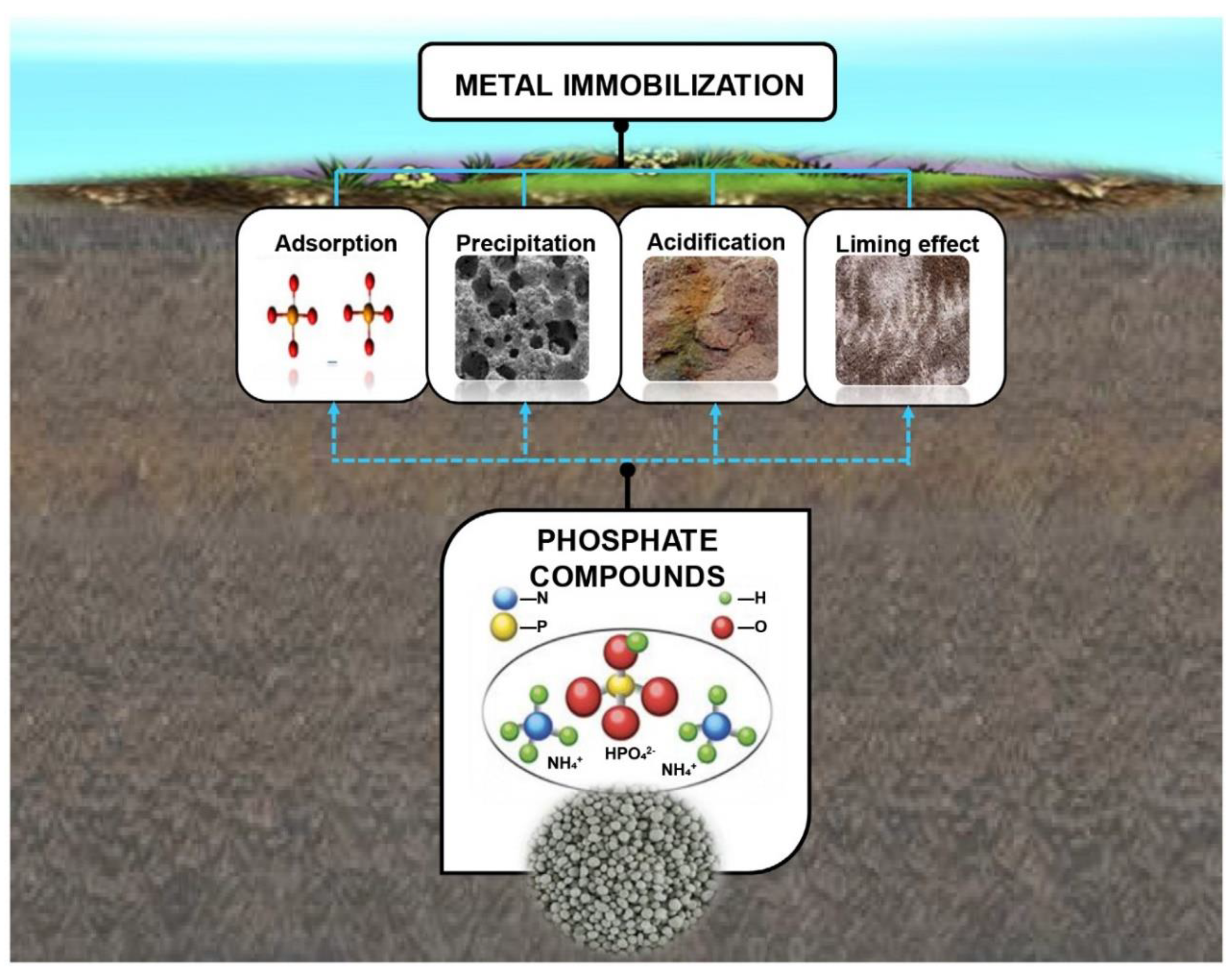 Separations 11 00299 g007