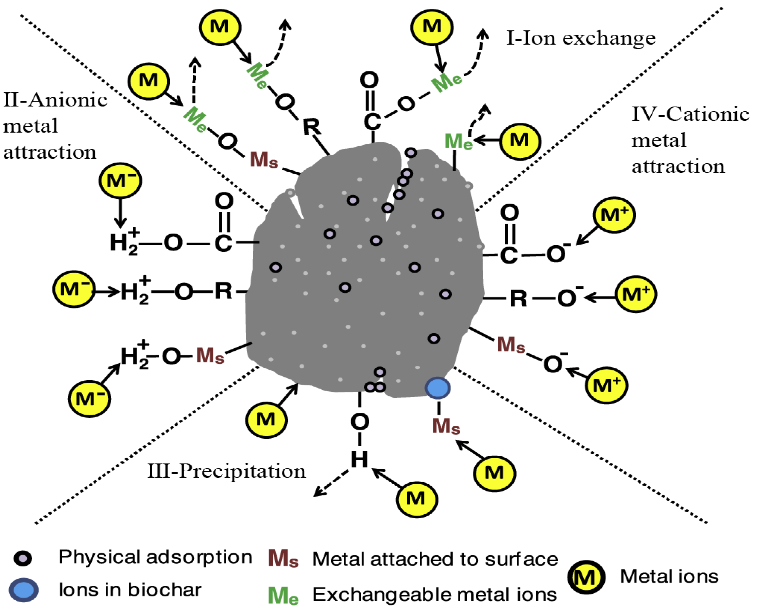 Separations 11 00299 g008