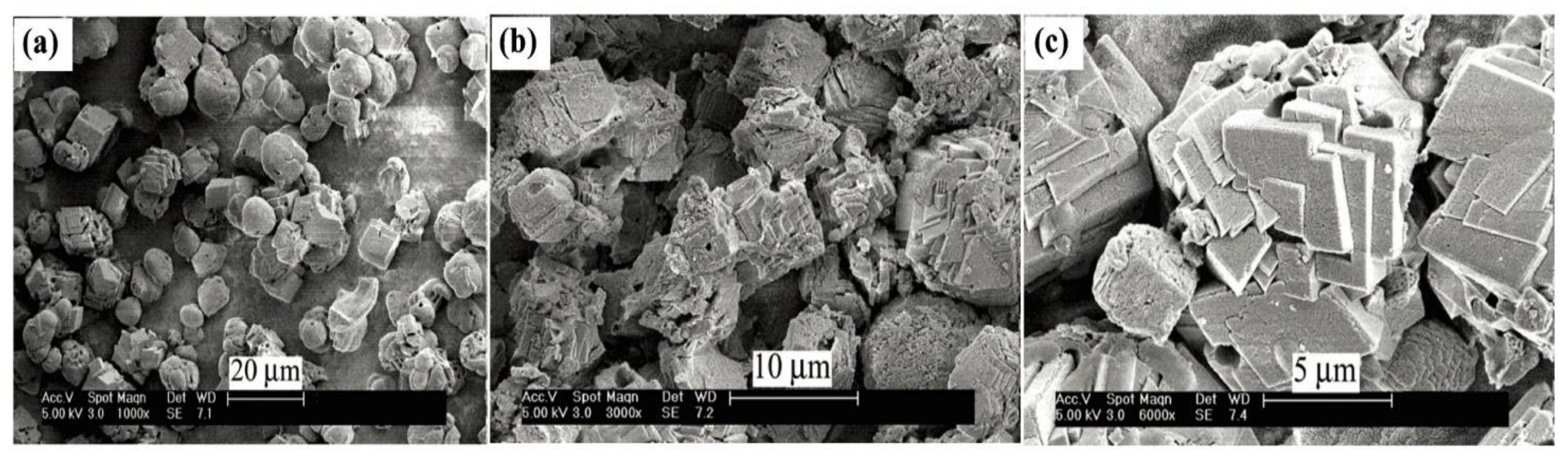 Separations 11 00299 g010