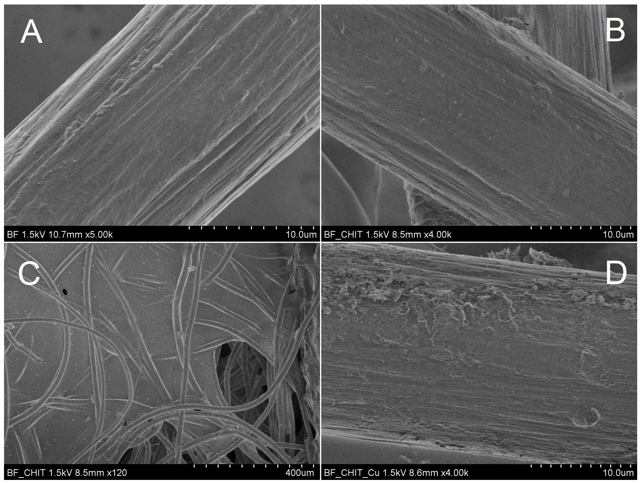 Separations 11 00325 g002