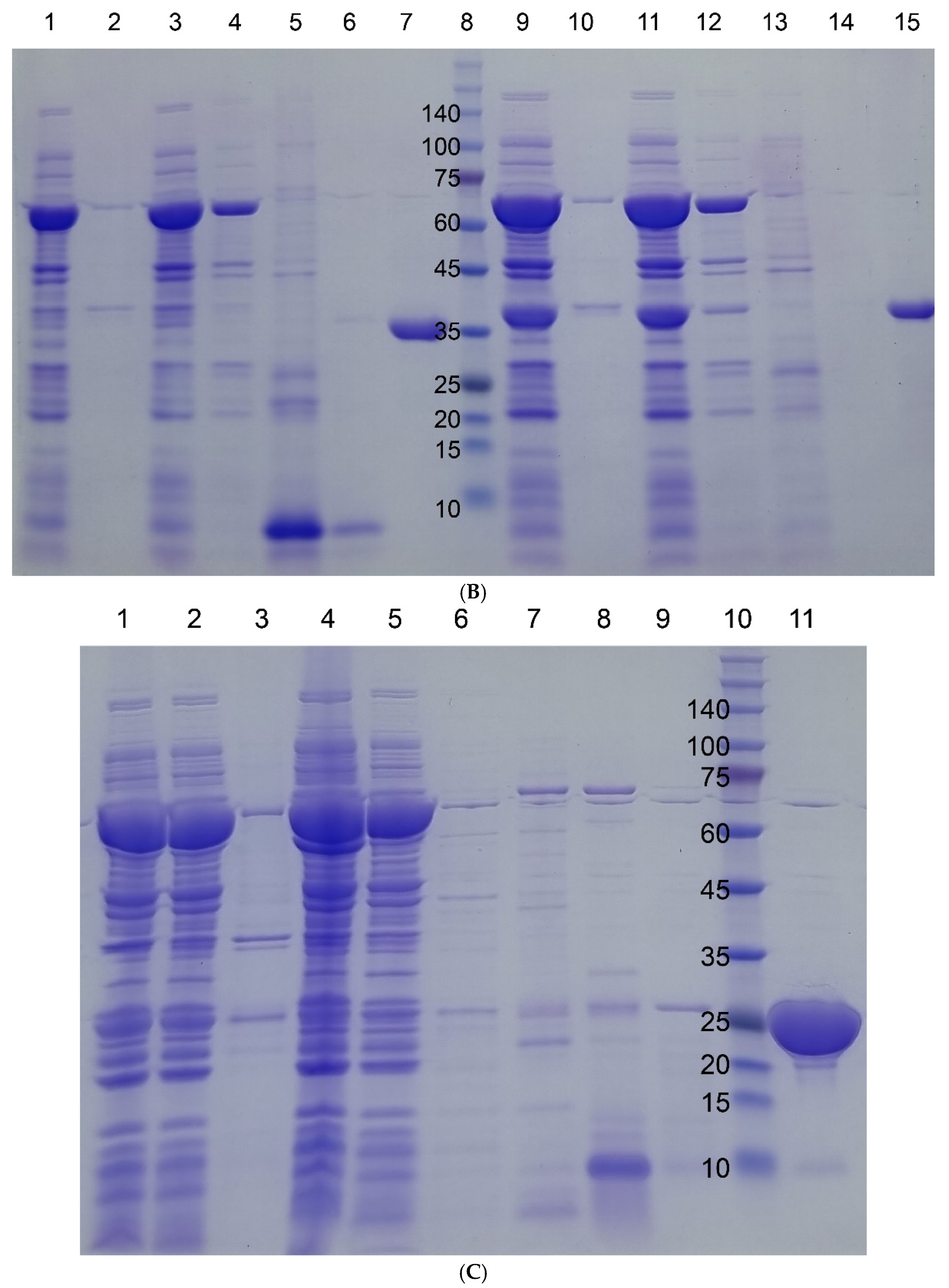 Separations 11 00335 g002b