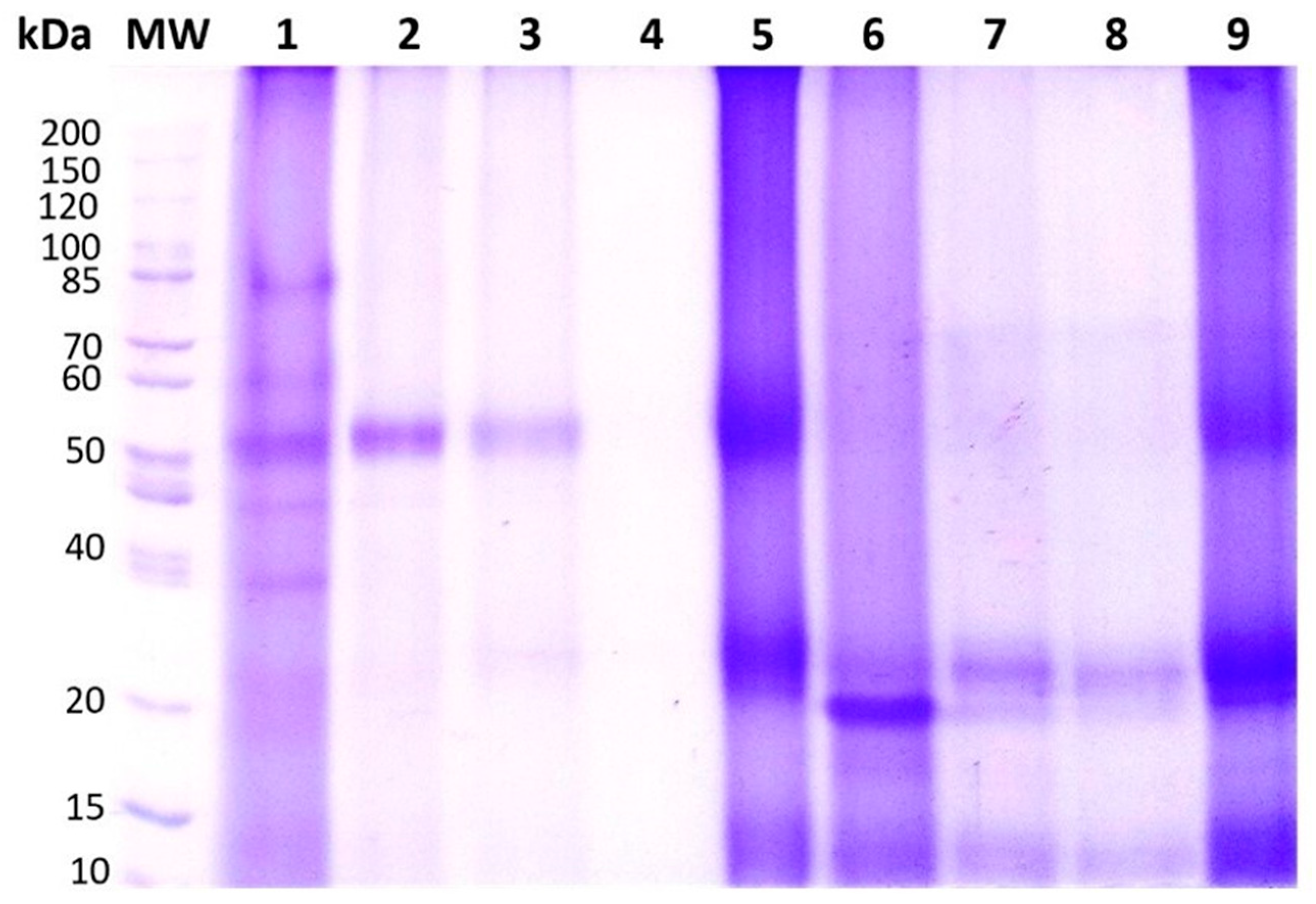 Separations 11 00350 g001 Separations 11 00350 g001