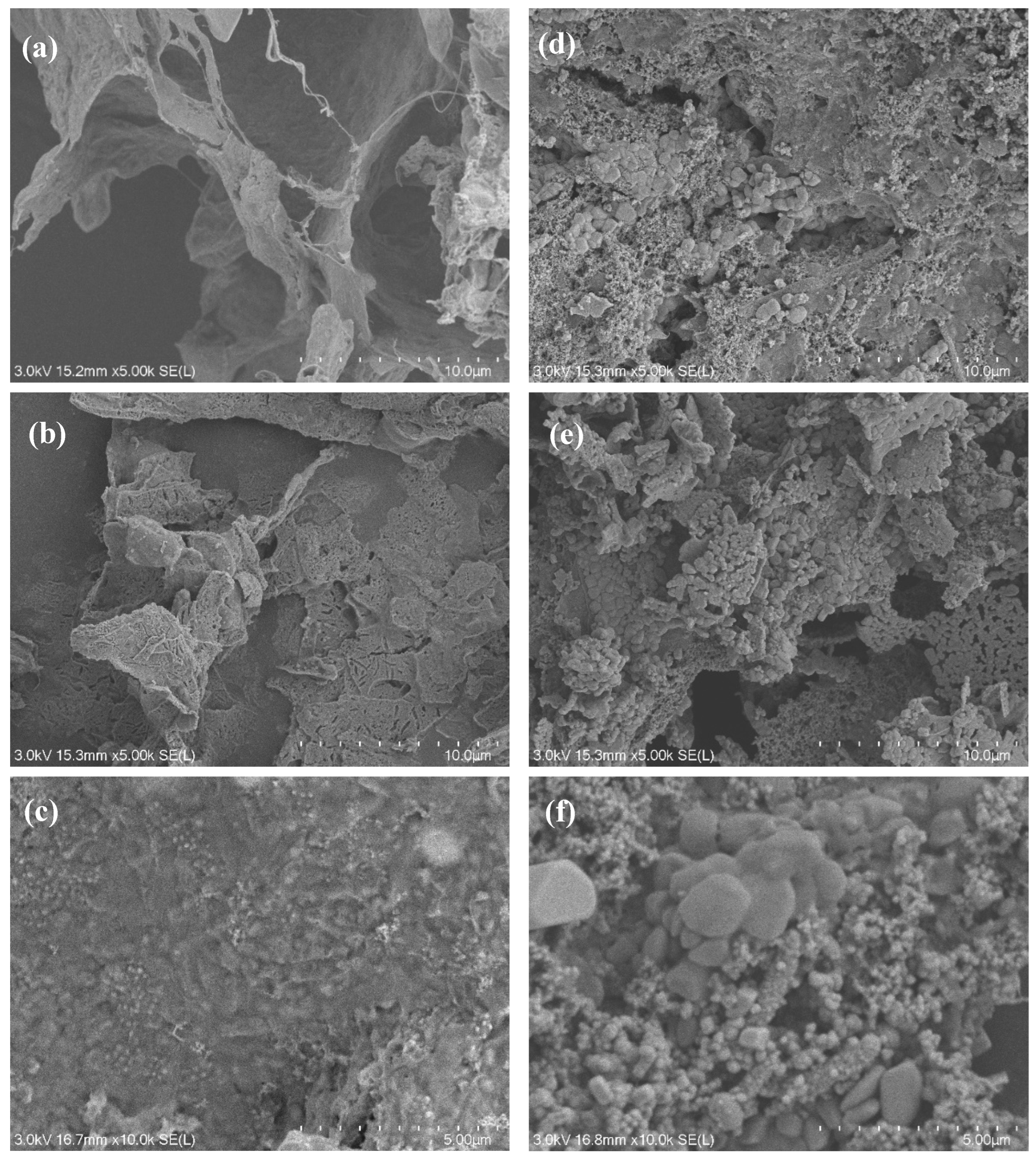 Separations 11 00355 g003
