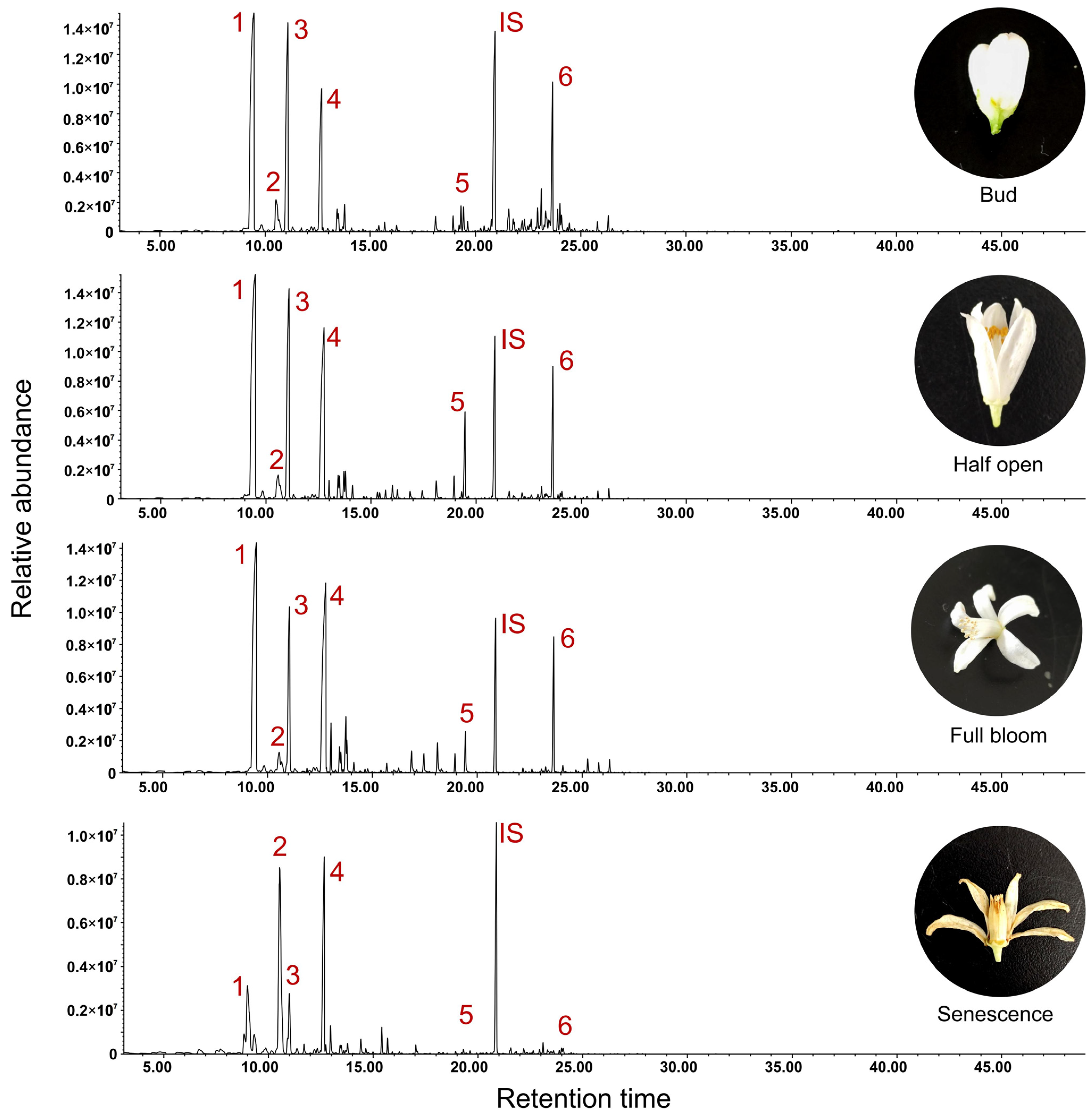 Separations 11 00359 g001