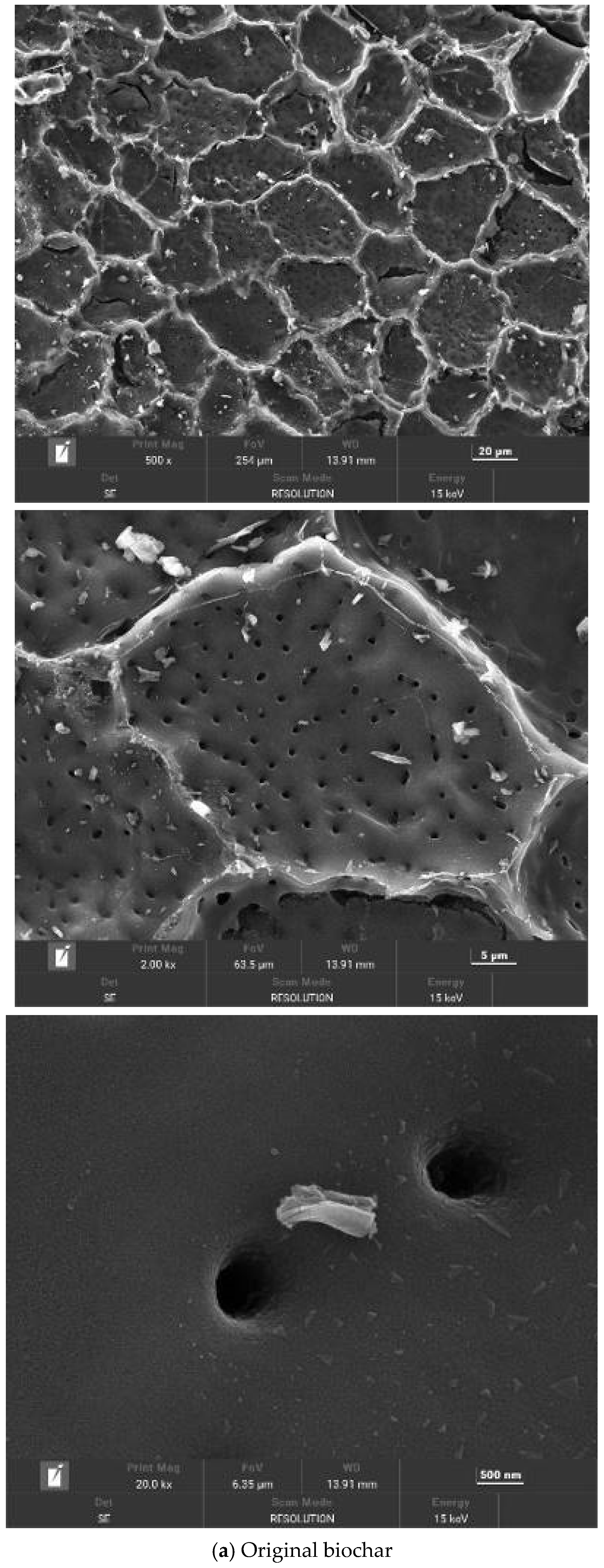 Separations 11 00361 g005a