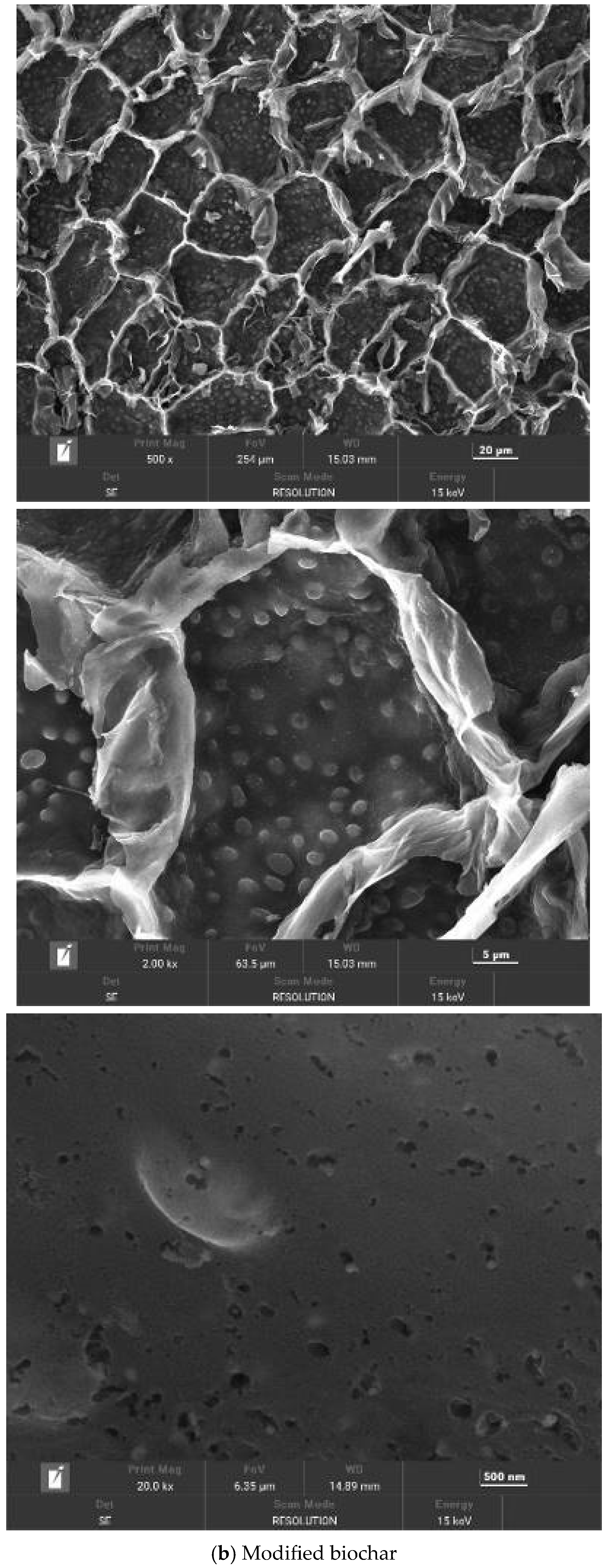 Separations 11 00361 g005b