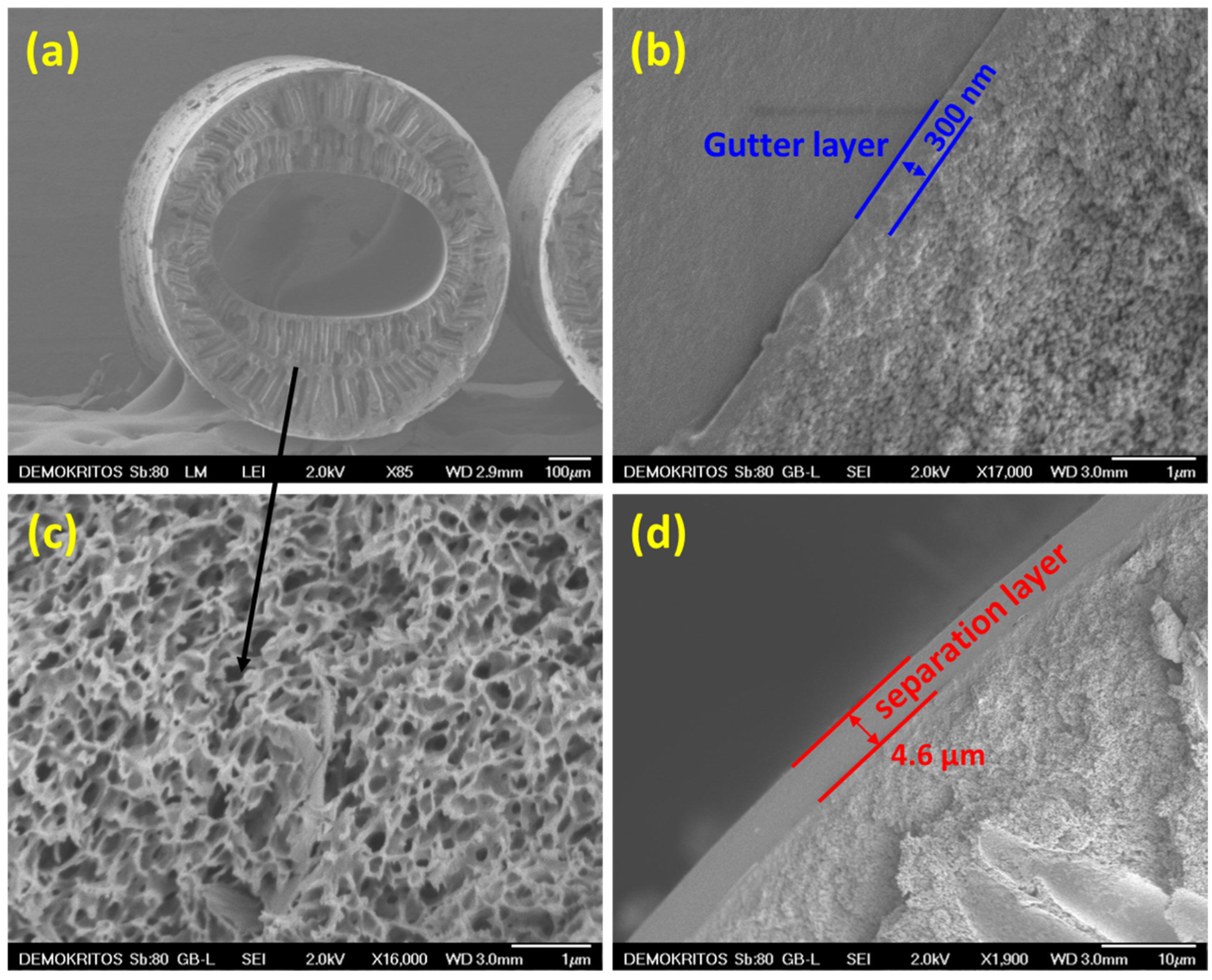 Separations 12 00003 g002