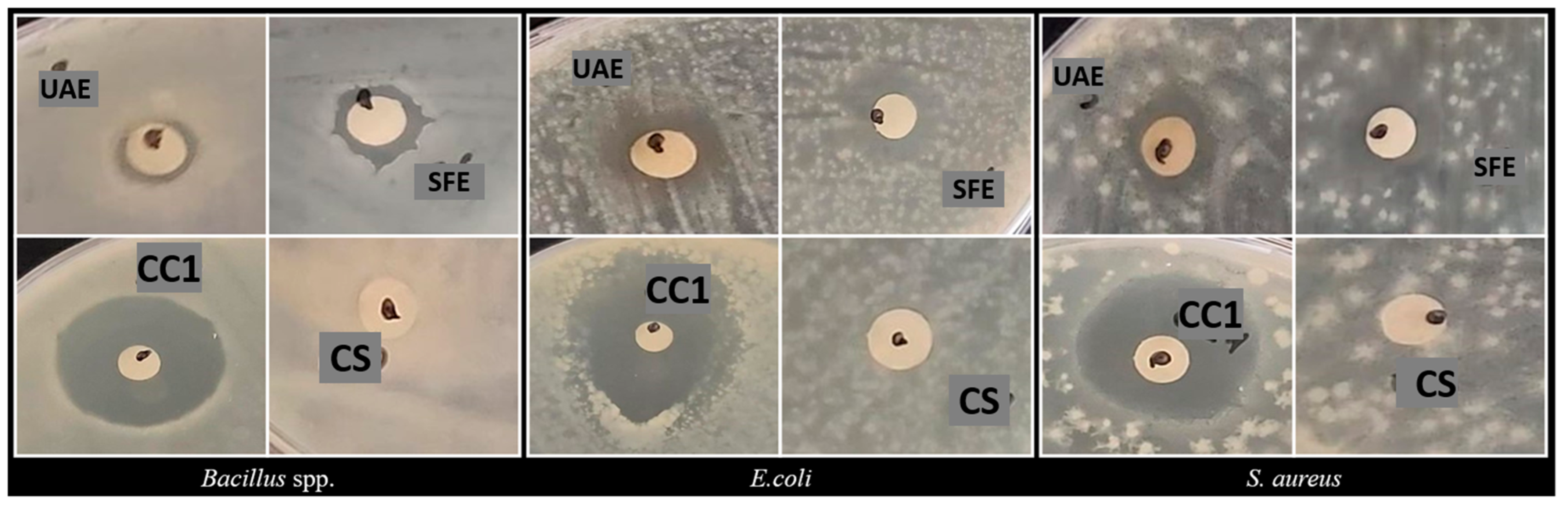 Separations 12 00008 g002