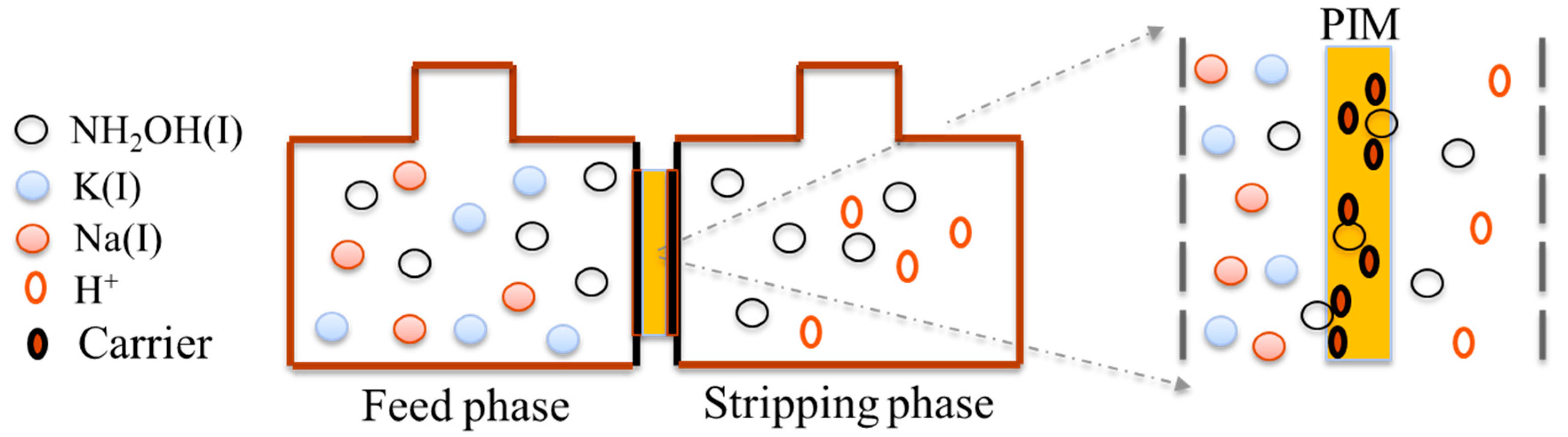 Separations 12 00024 g004