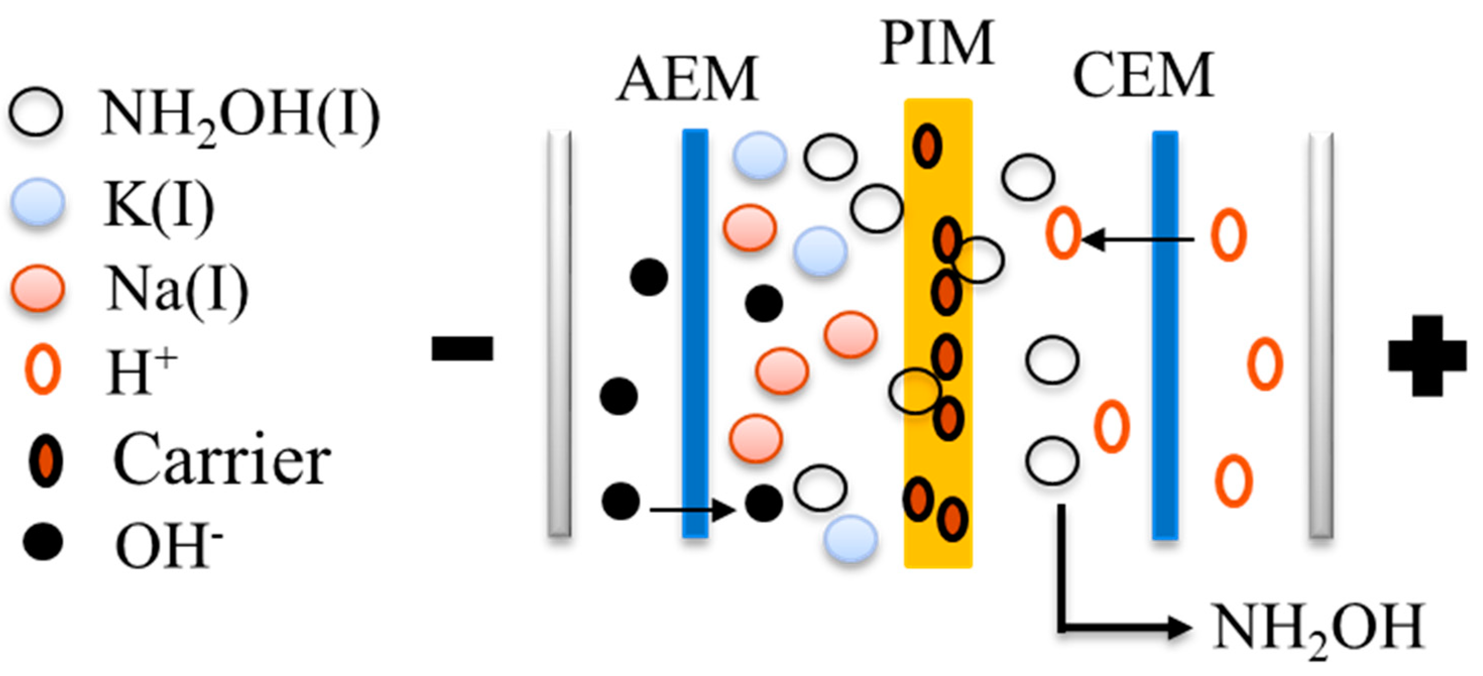 Separations 12 00024 g005